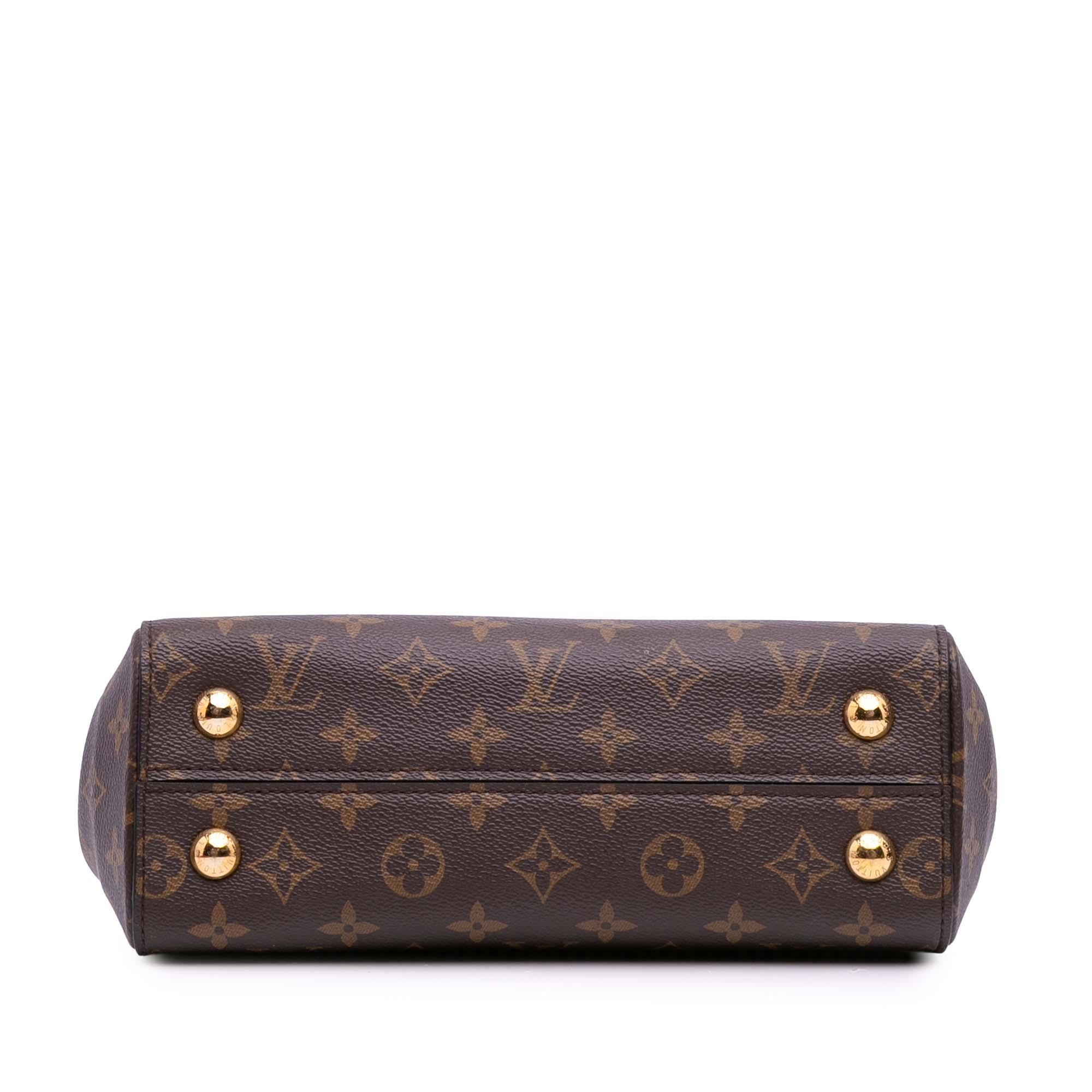 Louis Vuitton Monogram Cluny BB