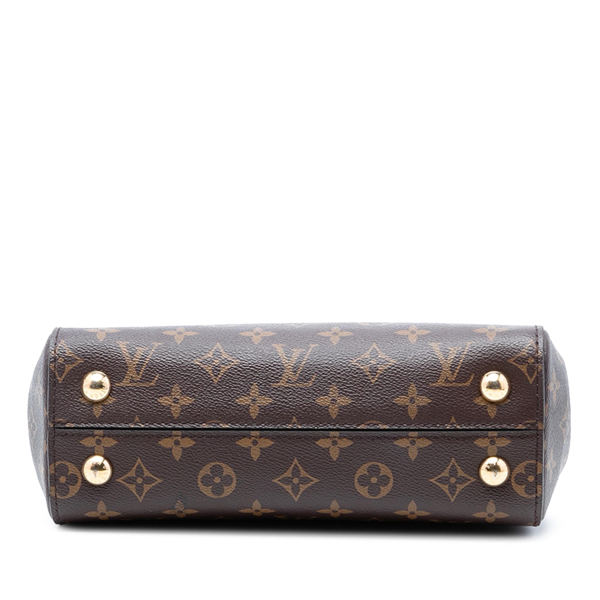 Louis Vuitton Monogram Cluny BB