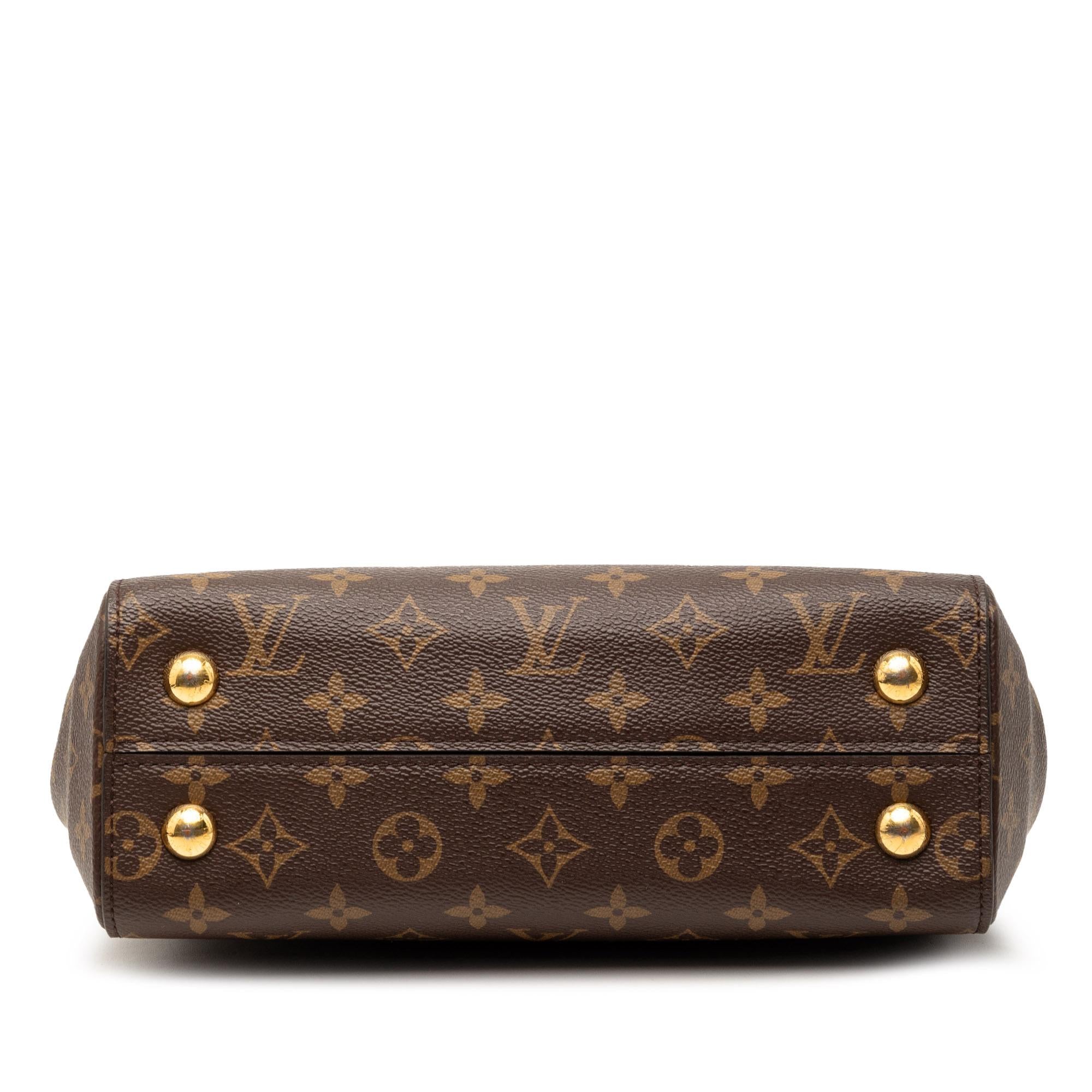 Louis Vuitton Monogram Cluny BB