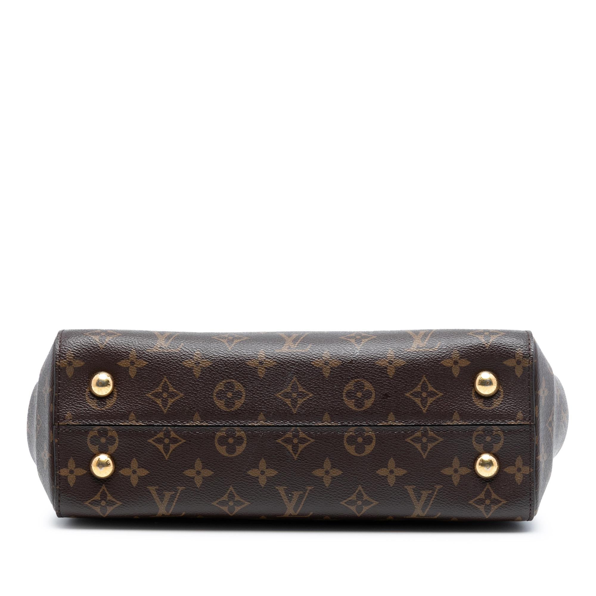 Louis Vuitton Monogram Cluny MM