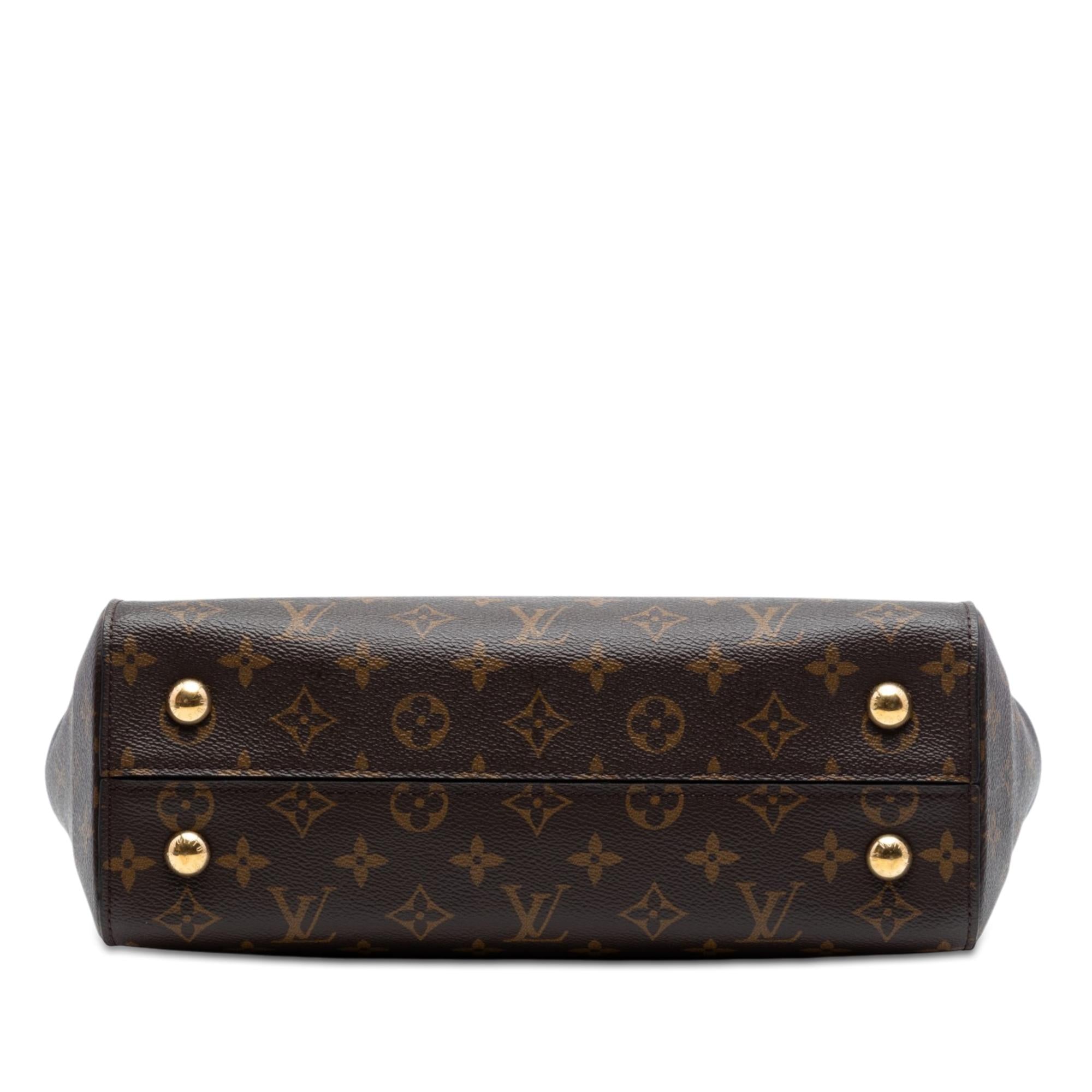 Louis Vuitton Monogram Cluny MM