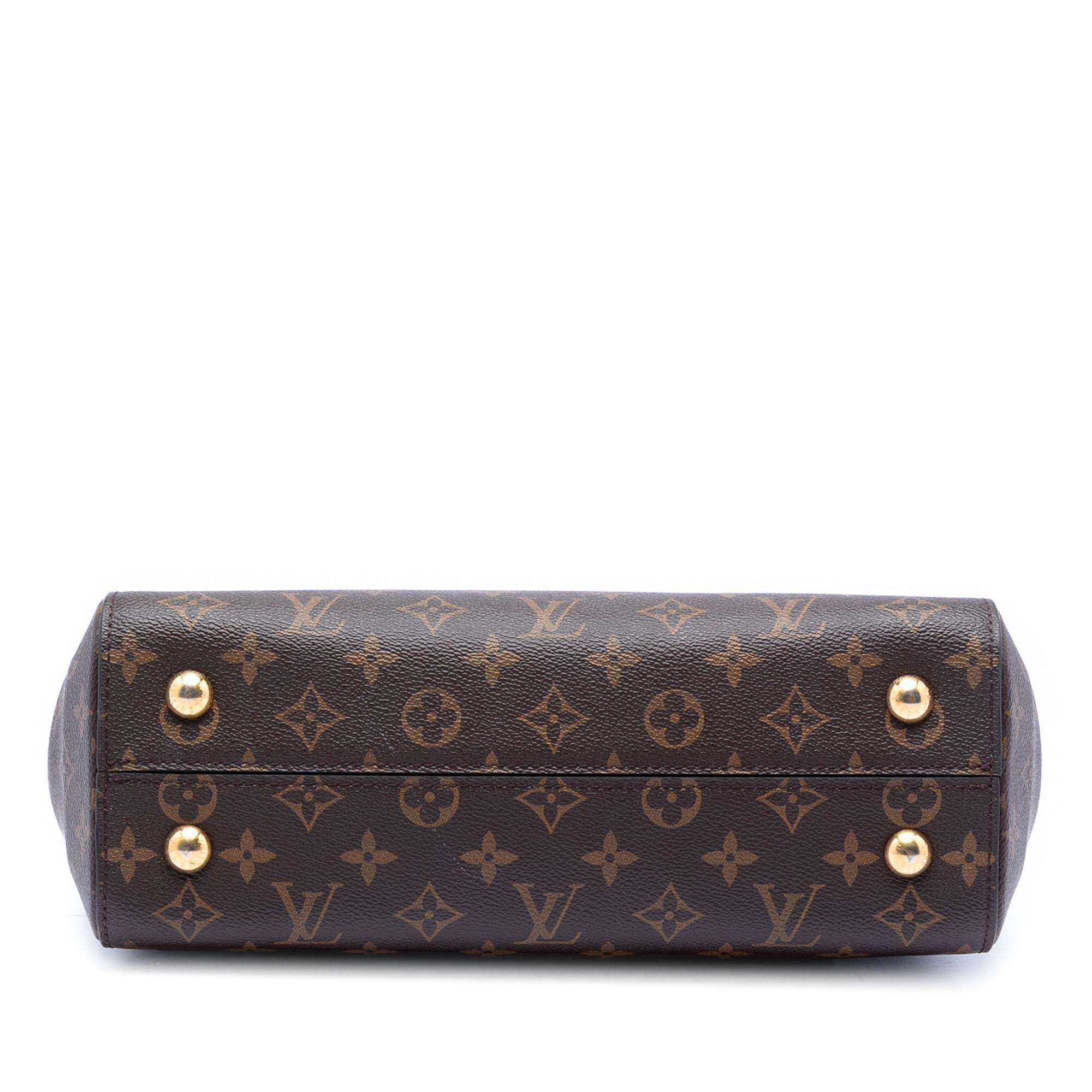 Louis Vuitton Monogram Cluny MM
