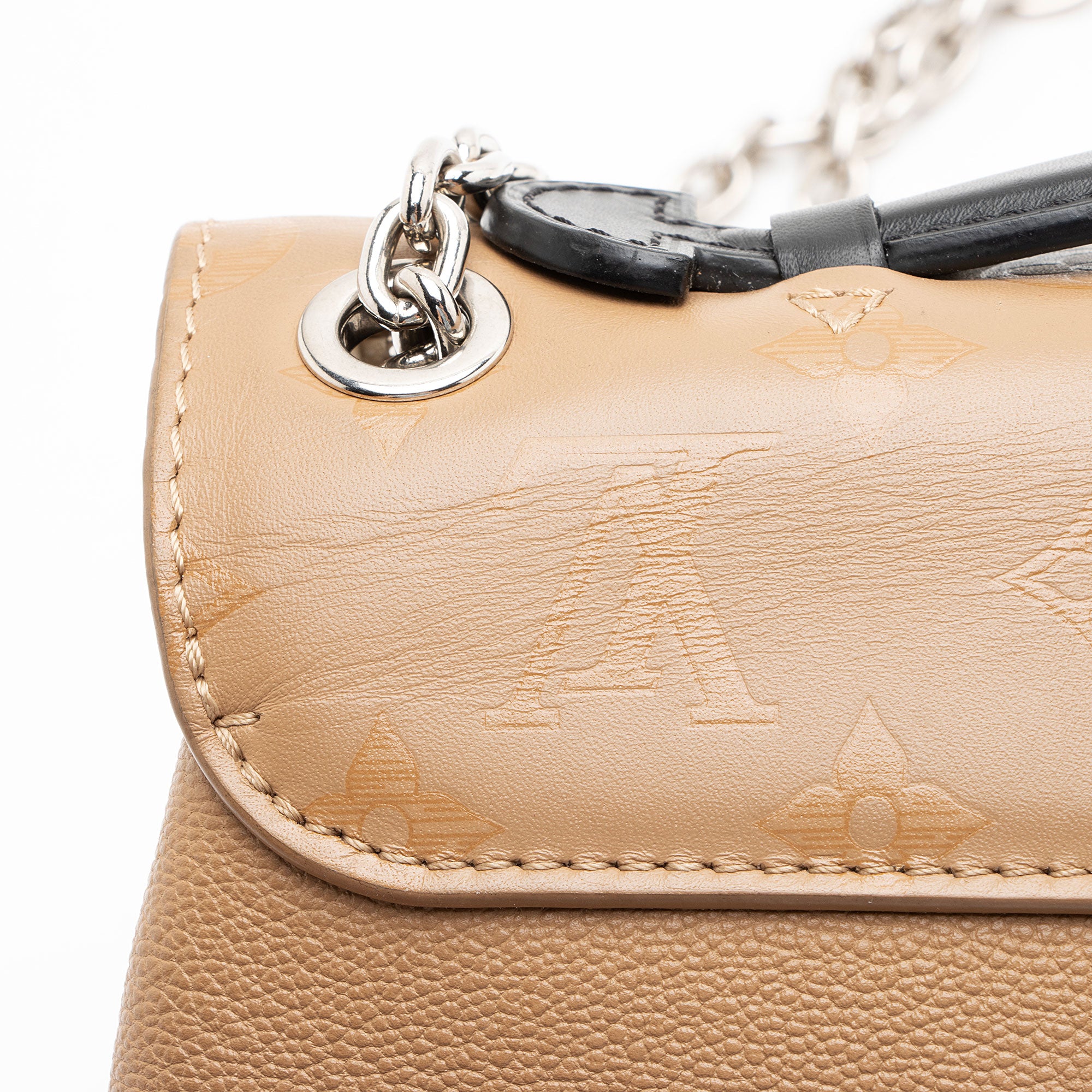 Louis Vuitton Monogram Cuir Very Chain Bag