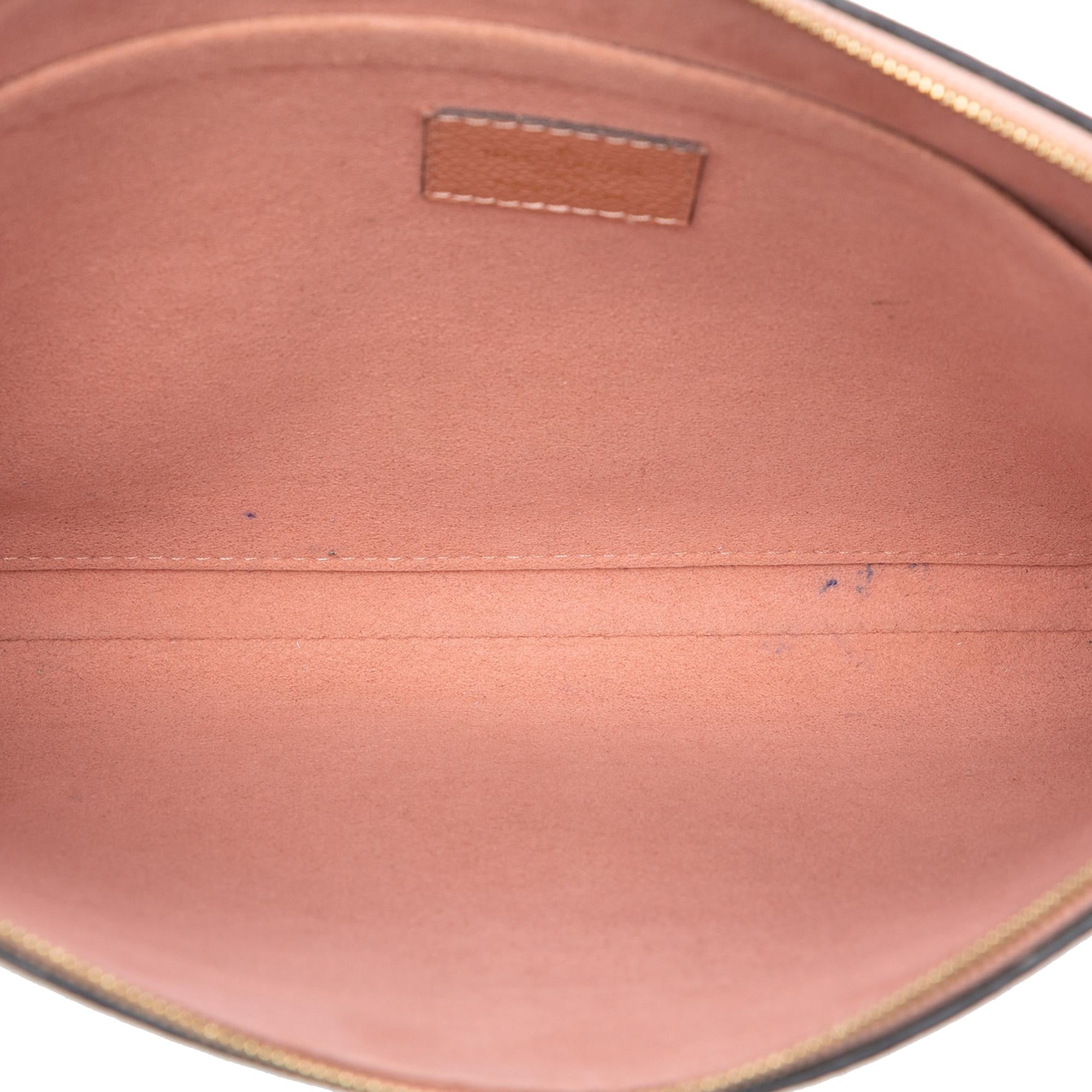 Louis Vuitton Monogram Daily Pouch