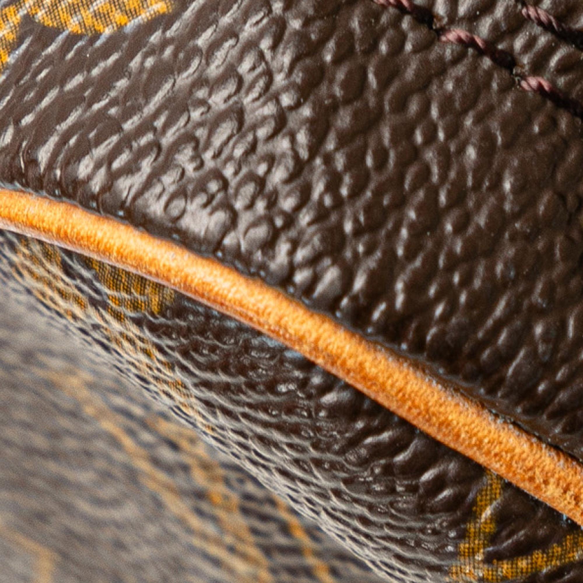 Louis Vuitton Monogram Danube (SHG-PyyPAb)
