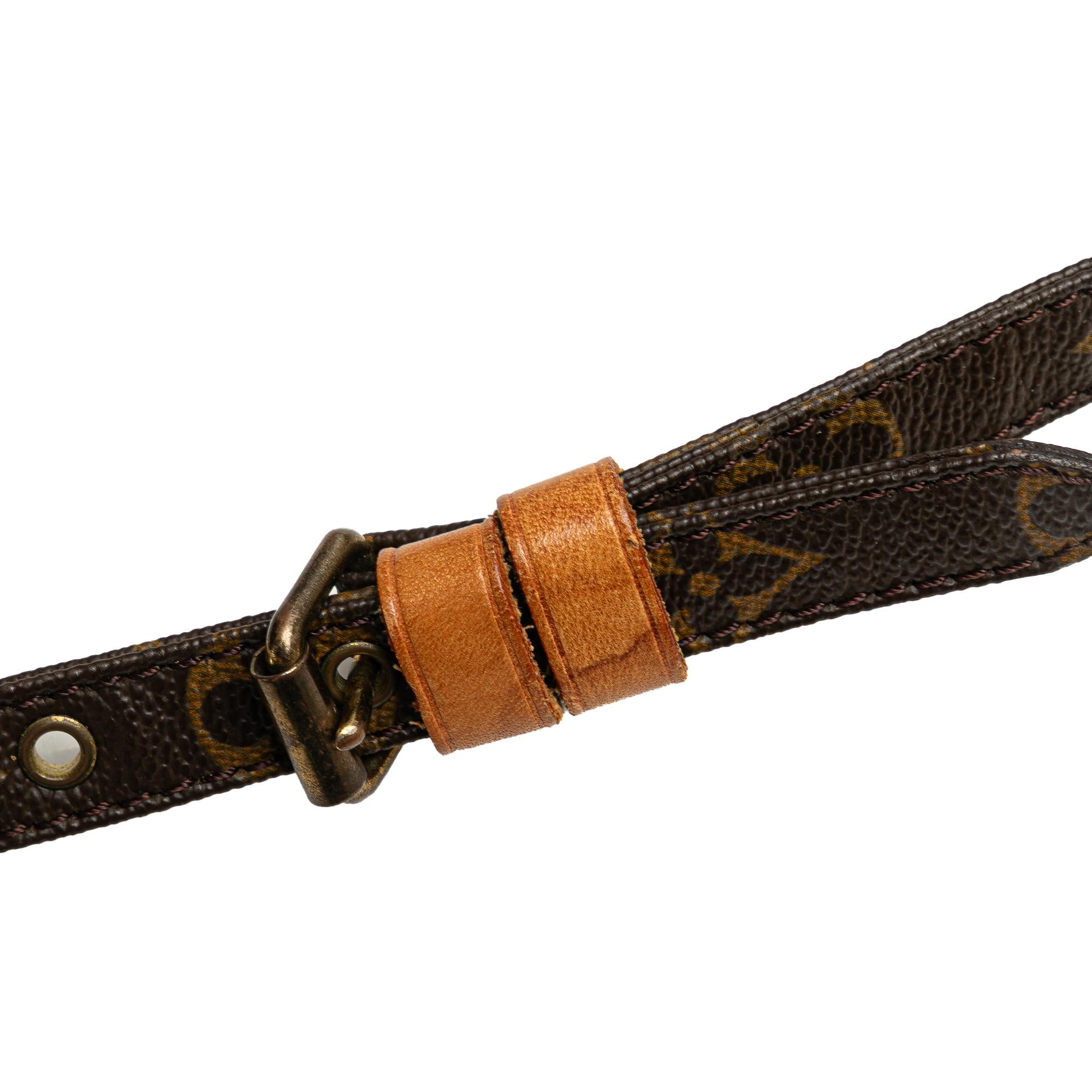 Louis Vuitton Monogram Danube
