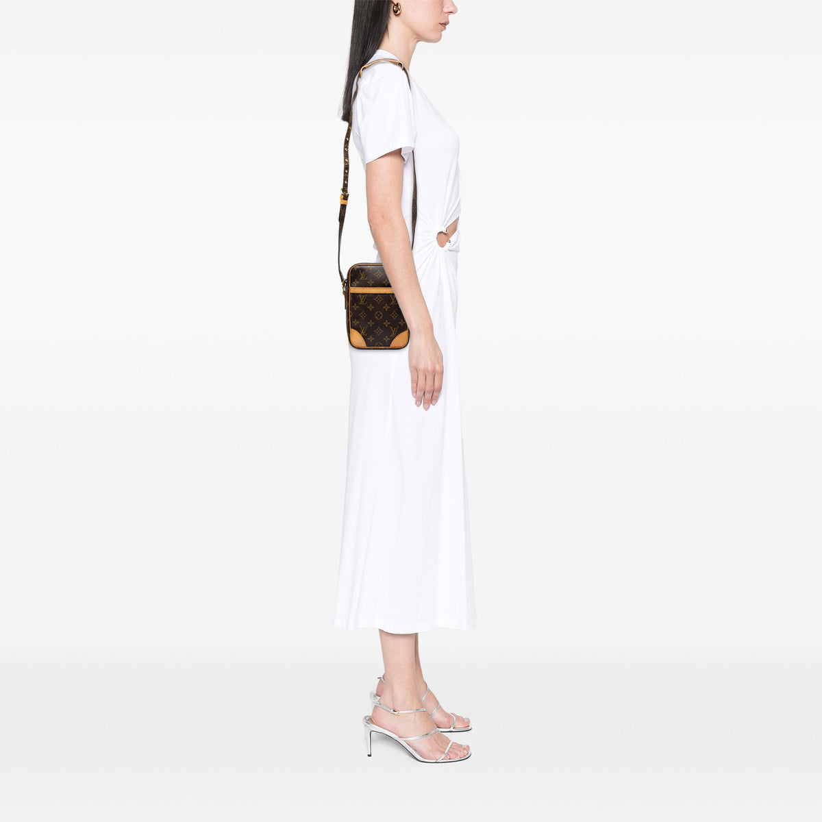 Louis Vuitton Monogram Danube