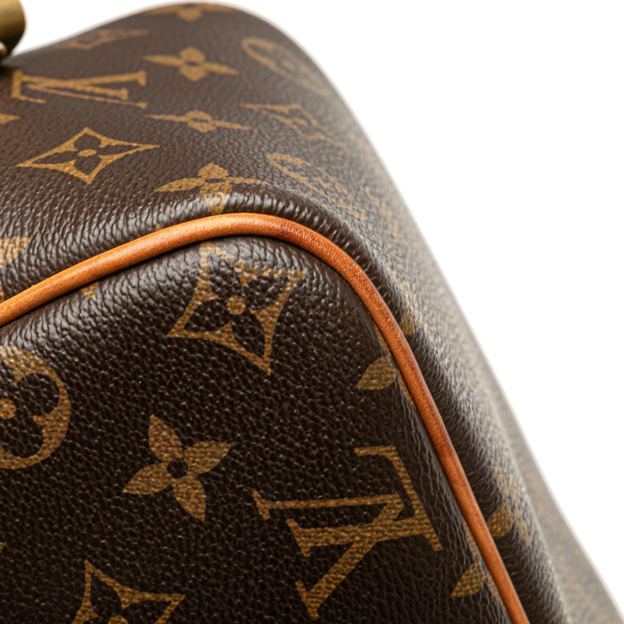Louis Vuitton Monogram Deauville