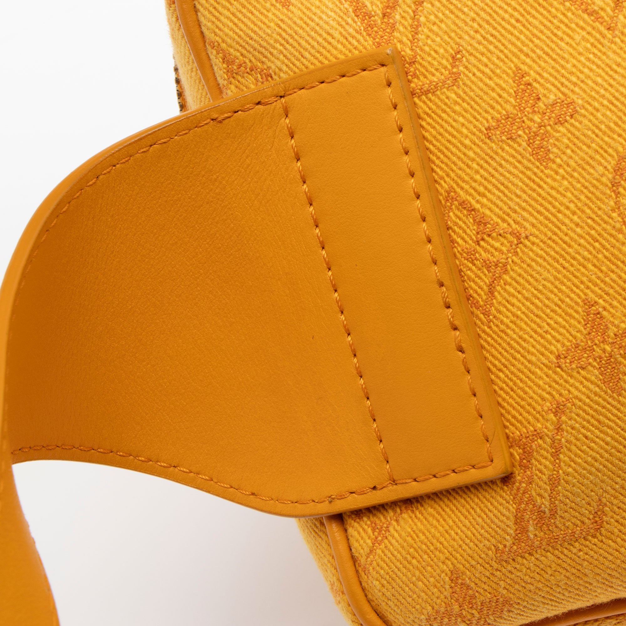 Louis Vuitton Monogram Denim Outdoor Belt Bag