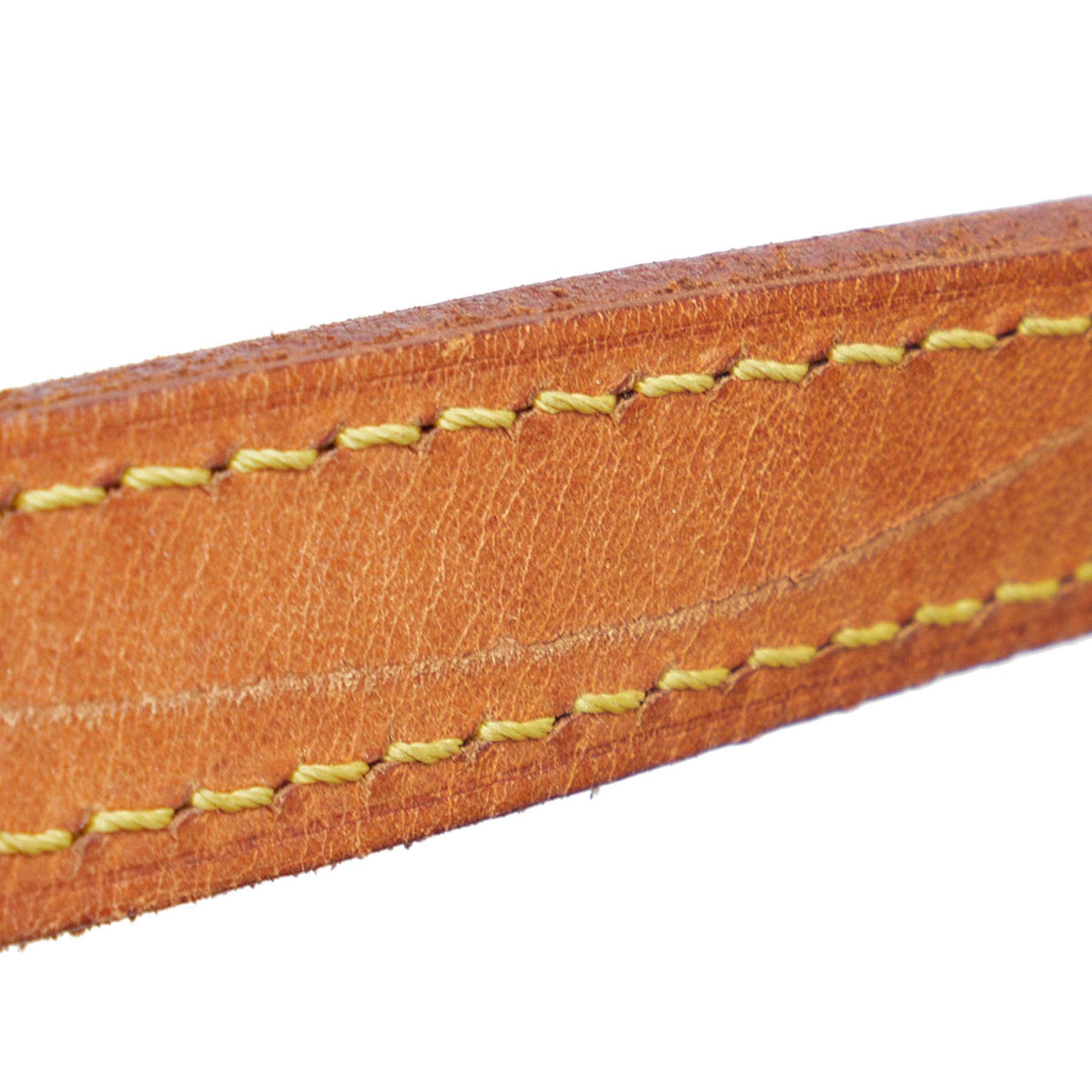 Louis Vuitton Monogram Ellipse Backpack (SHG-nFZNeM)