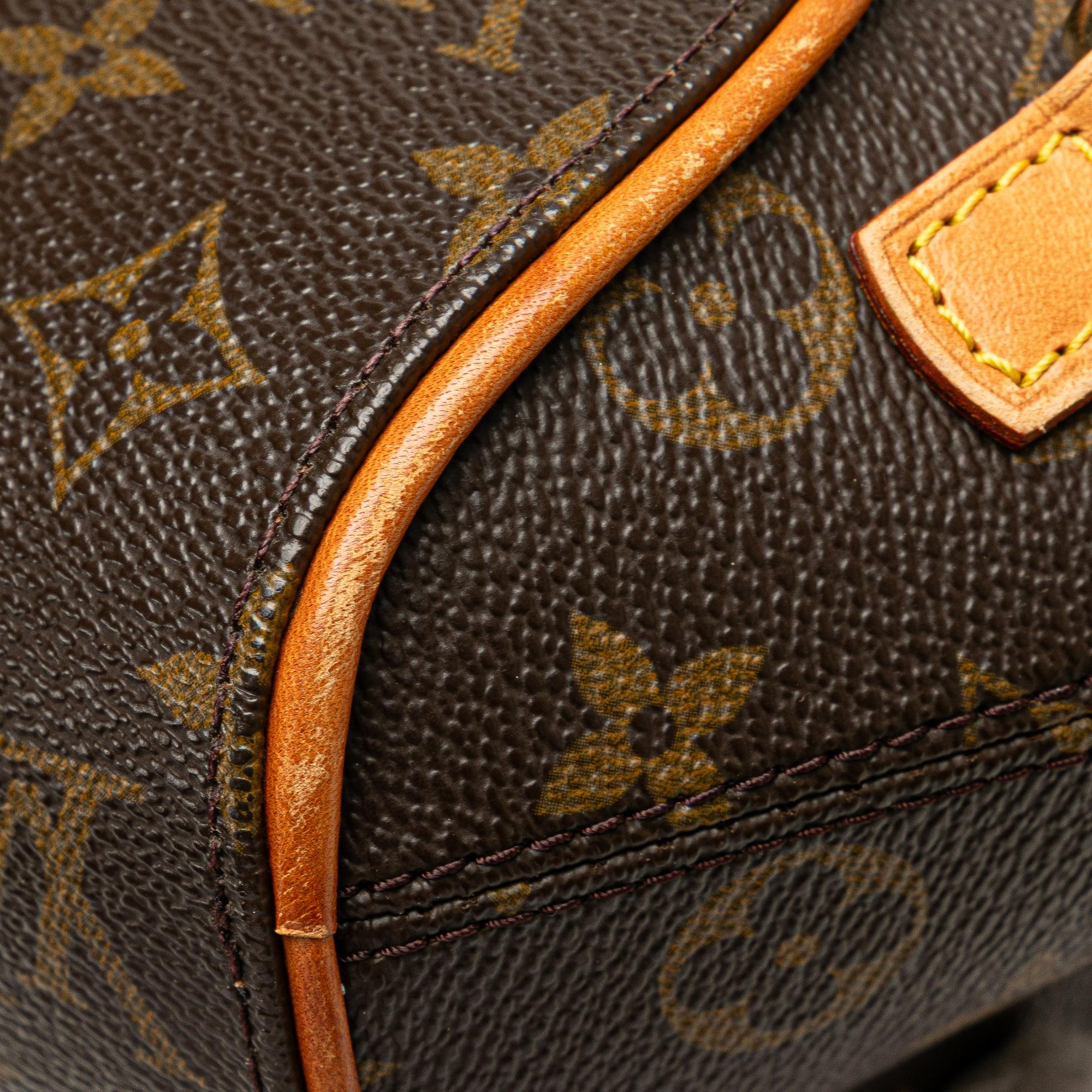 Louis Vuitton Monogram Ellipse Backpack
