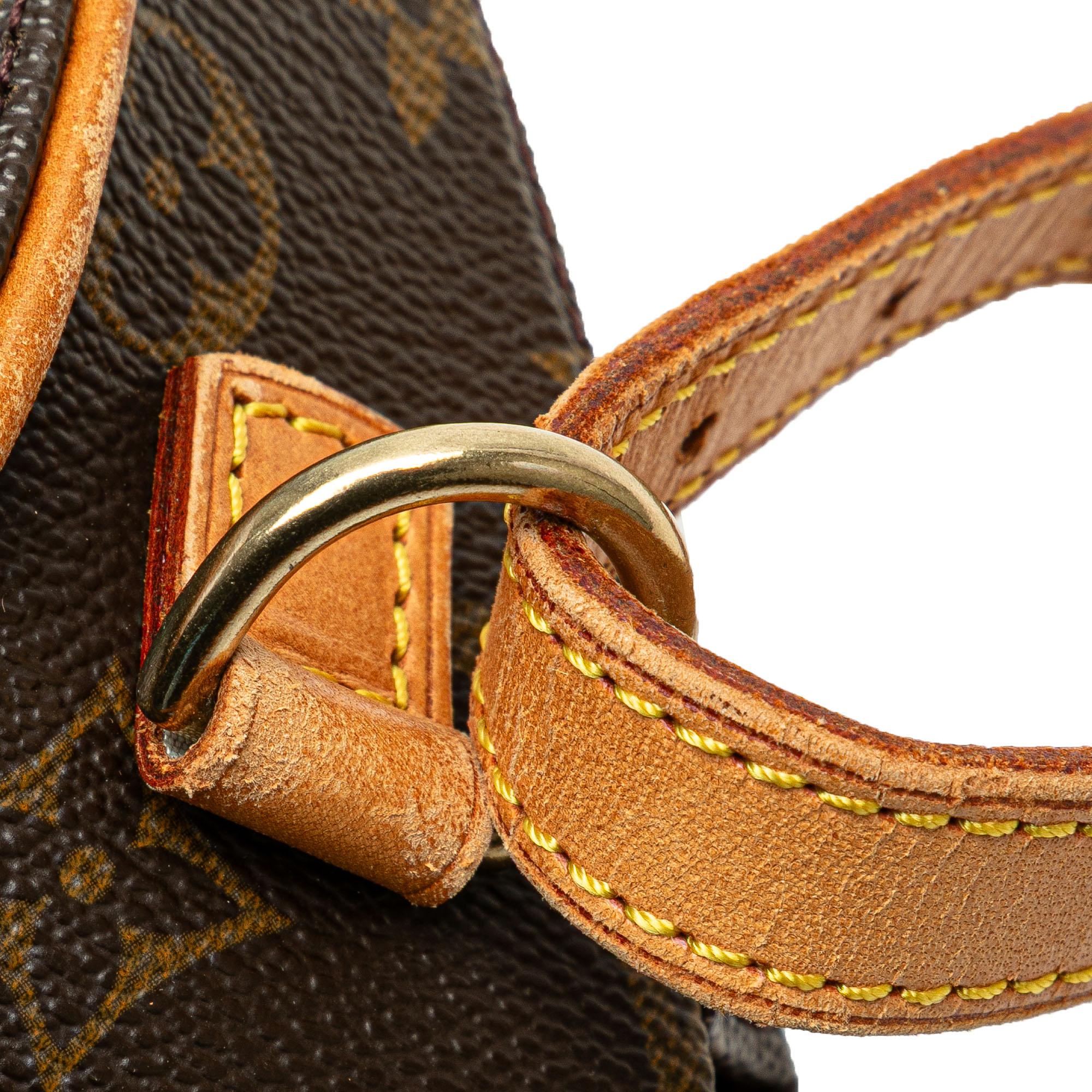 Louis Vuitton Monogram Ellipse Backpack