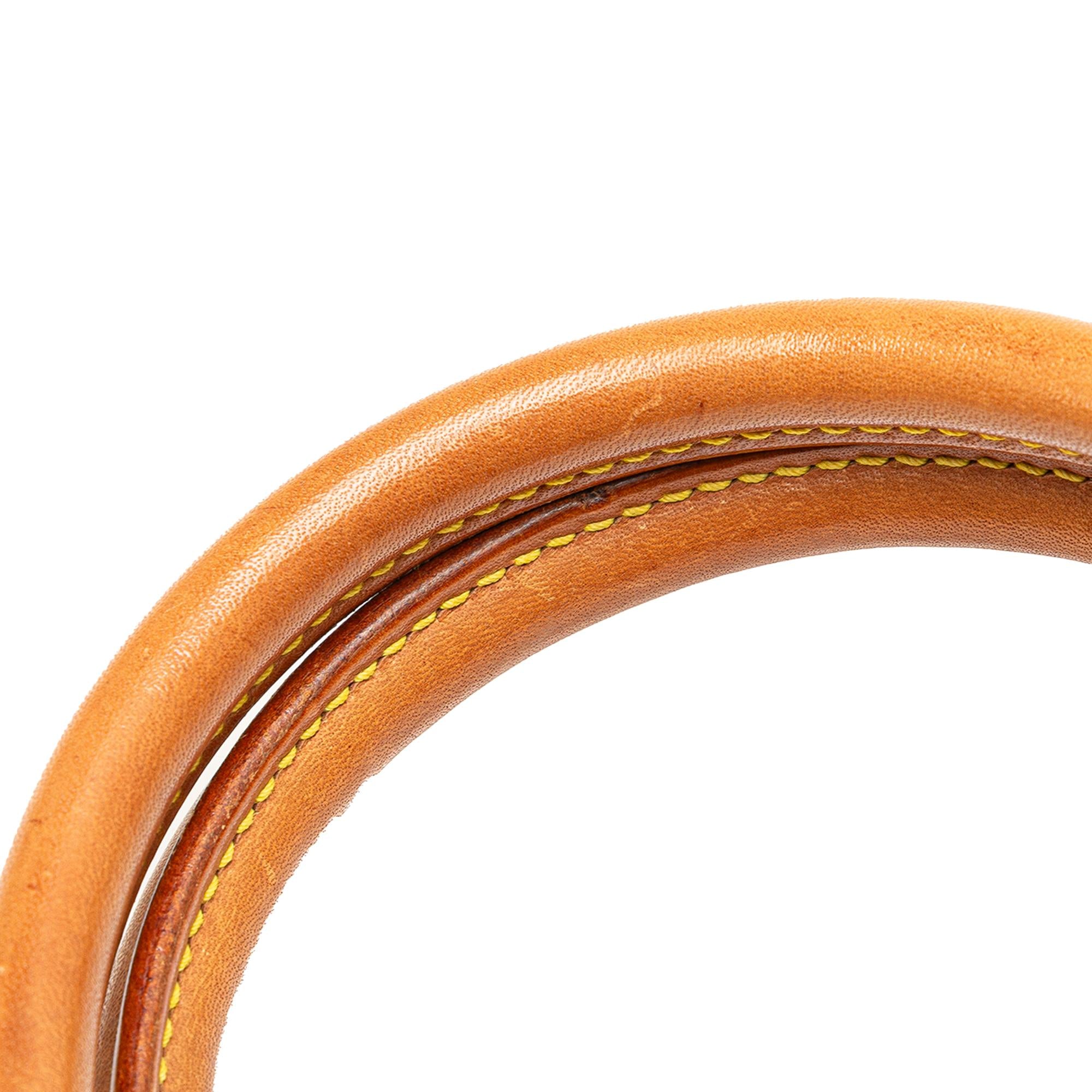 Louis Vuitton Monogram Ellipse PM