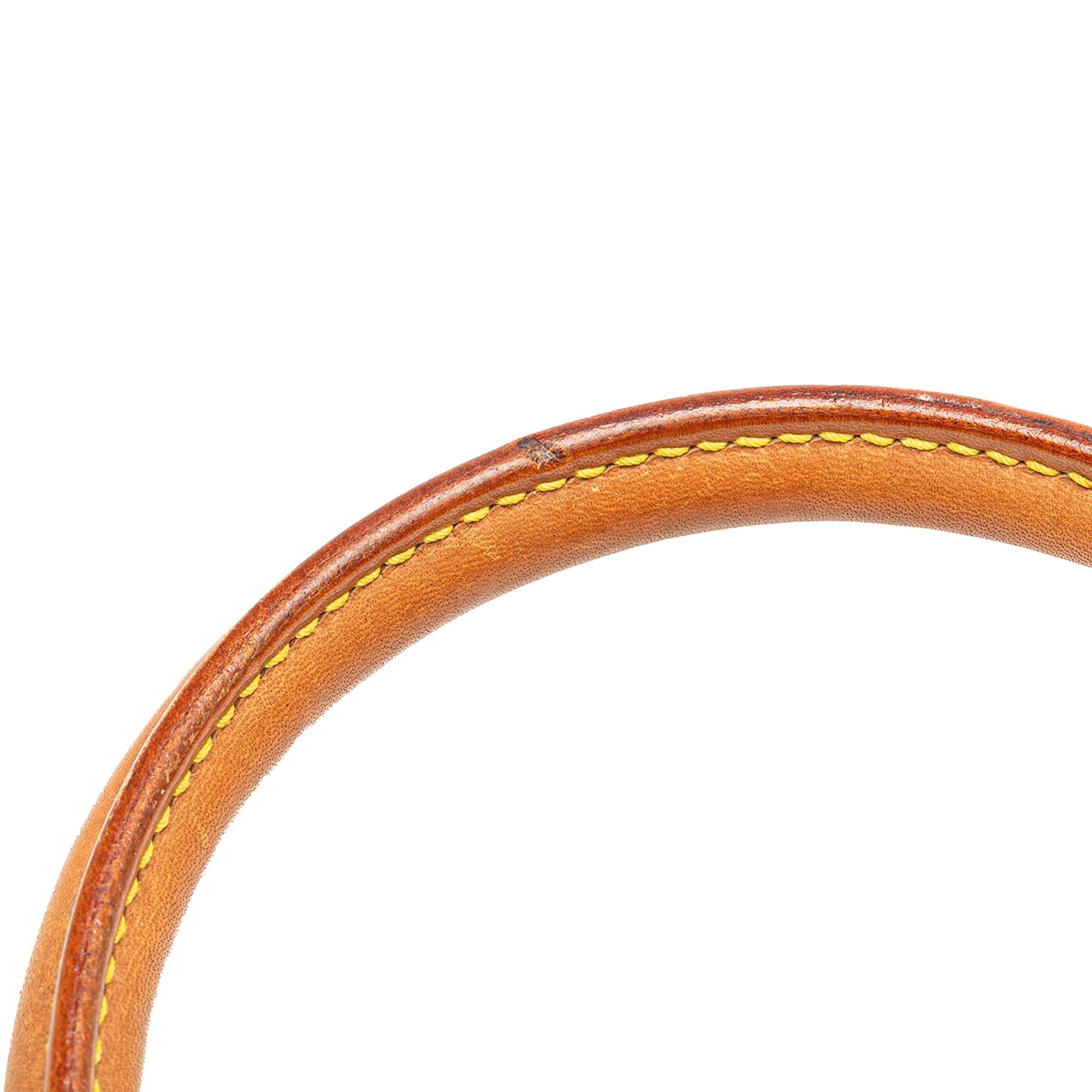 Louis Vuitton Monogram Ellipse PM