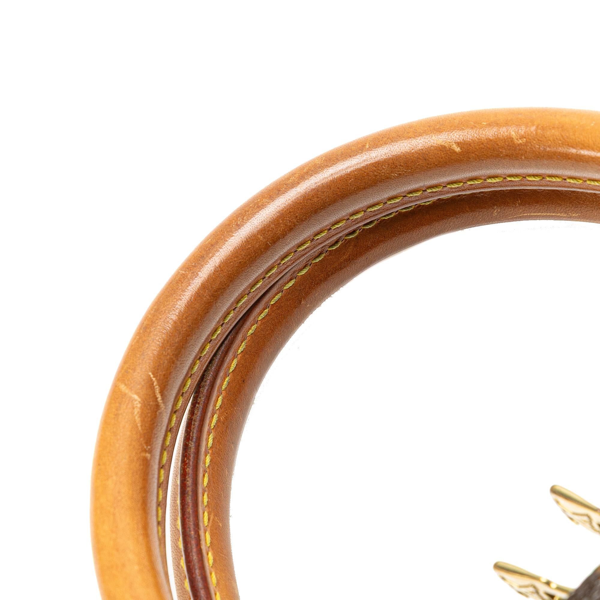Louis Vuitton Monogram Ellipse PM