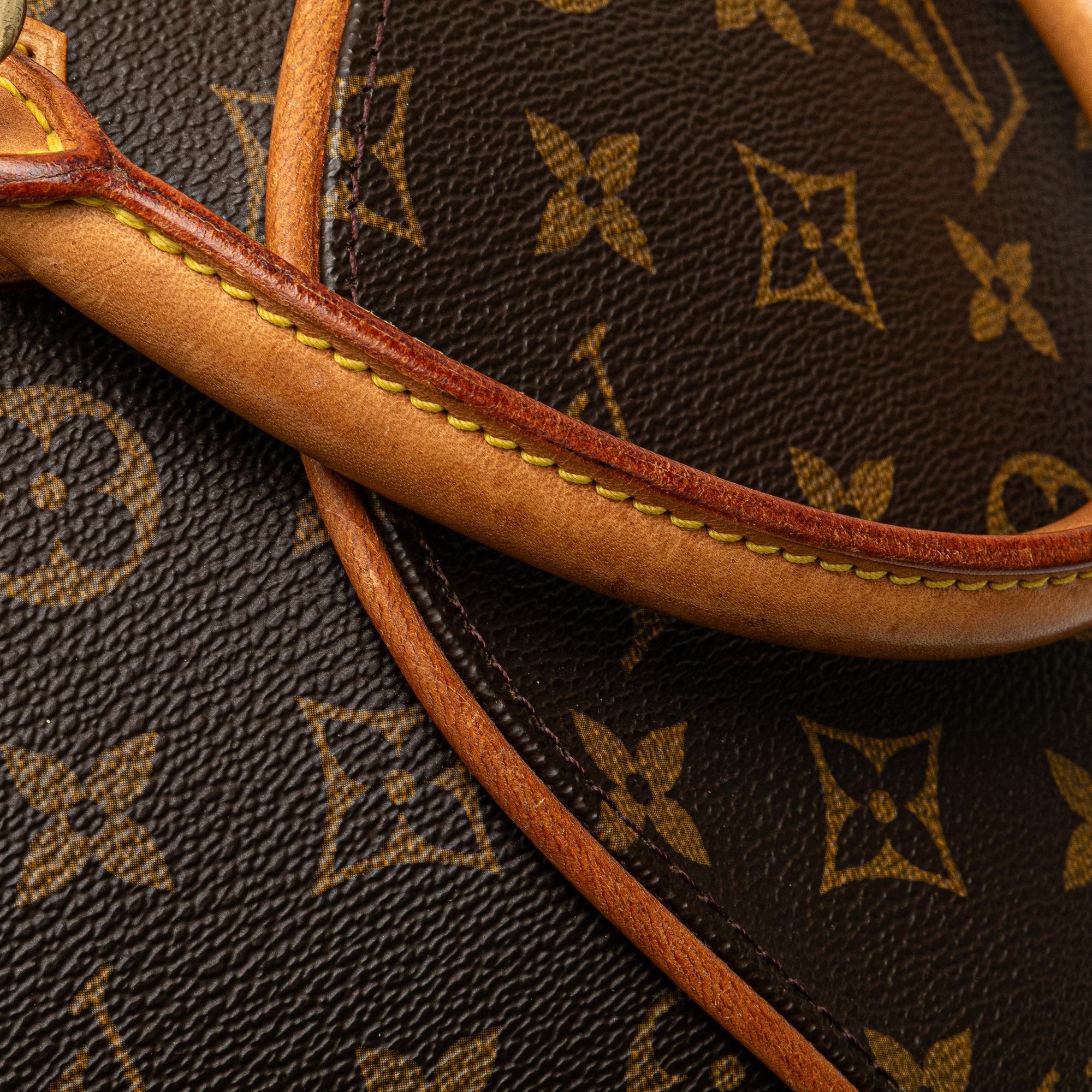 Louis Vuitton Monogram Ellipse PM