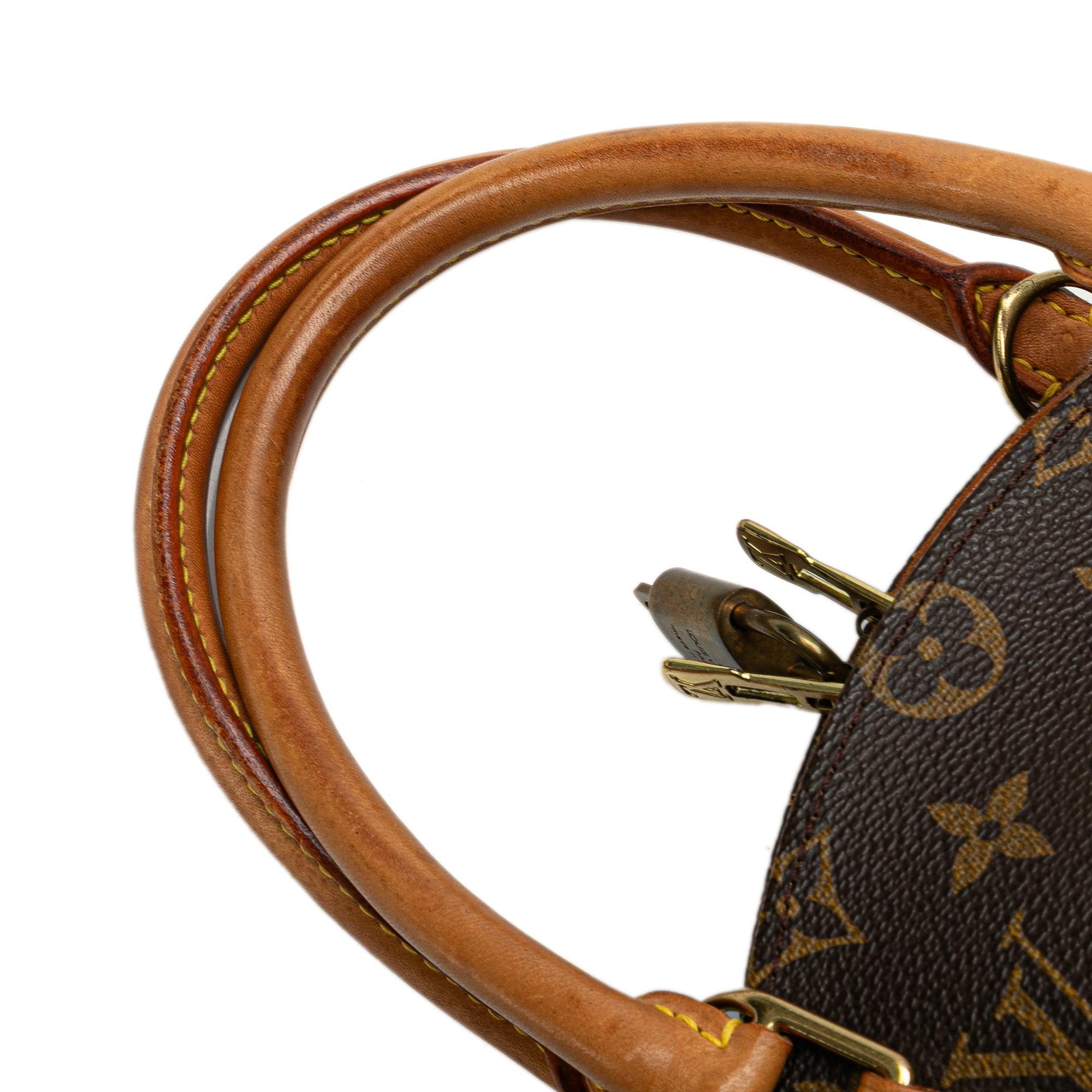 Louis Vuitton Monogram Ellipse PM