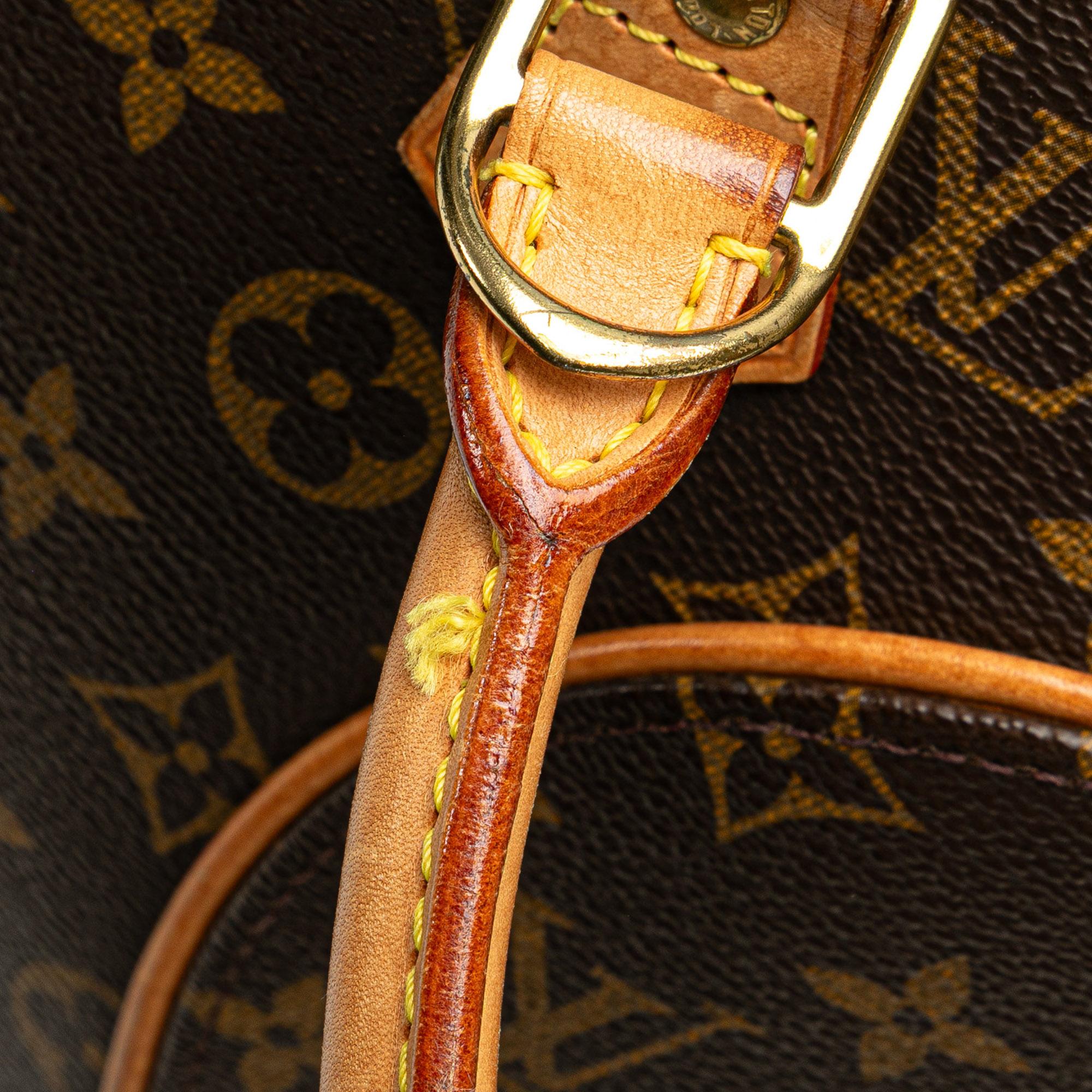 Louis Vuitton Monogram Ellipse PM