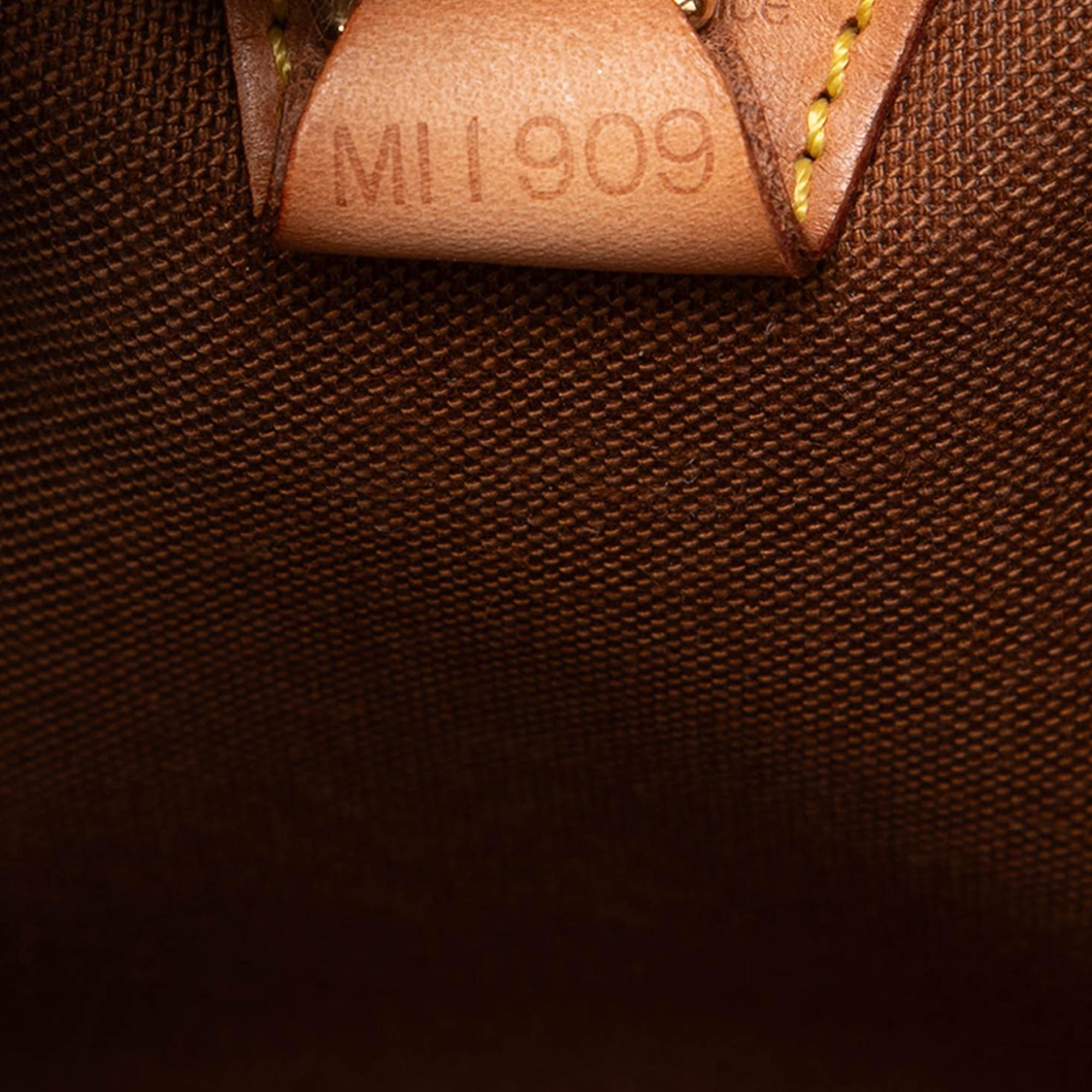 Louis Vuitton Monogram Ellipse PM