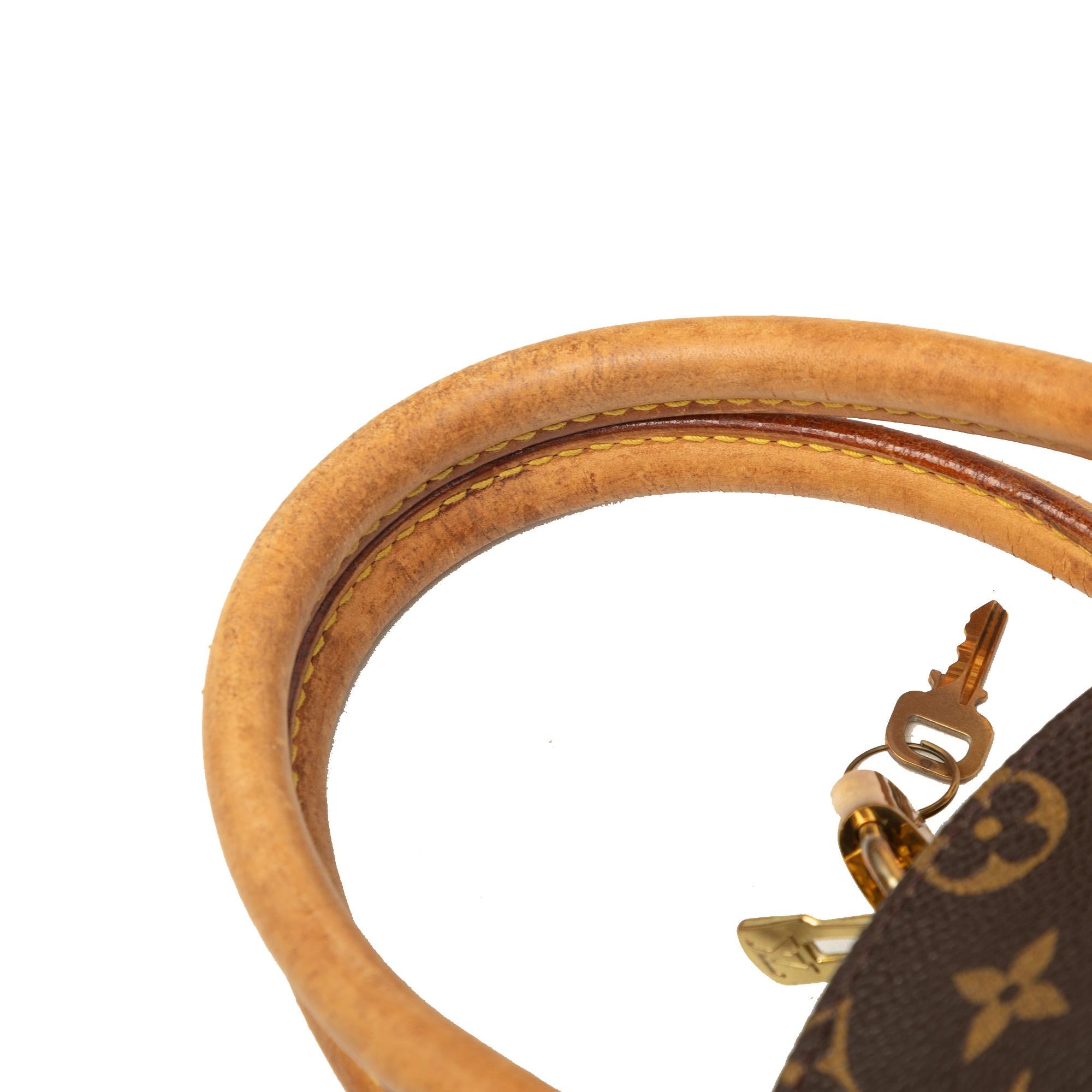 Louis Vuitton Monogram Ellipse PM