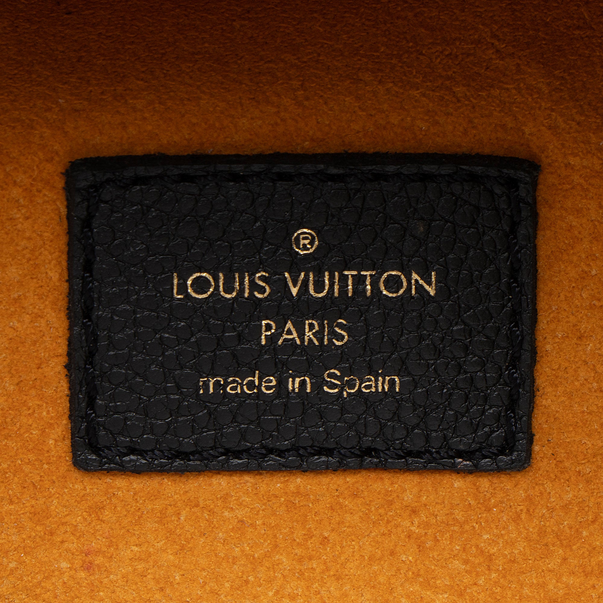 Louis Vuitton Monogram Empreinte Bumbag