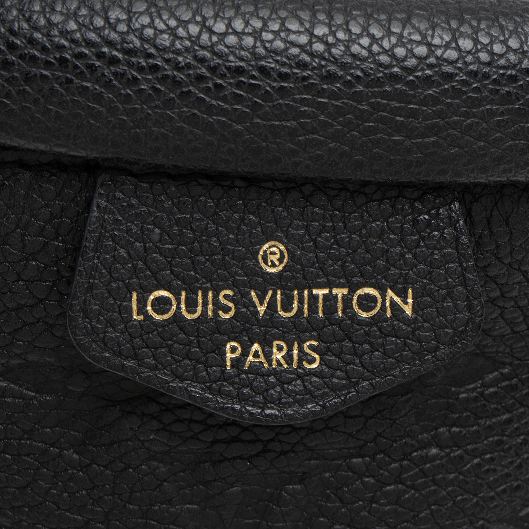 Louis Vuitton Monogram Empreinte Bumbag