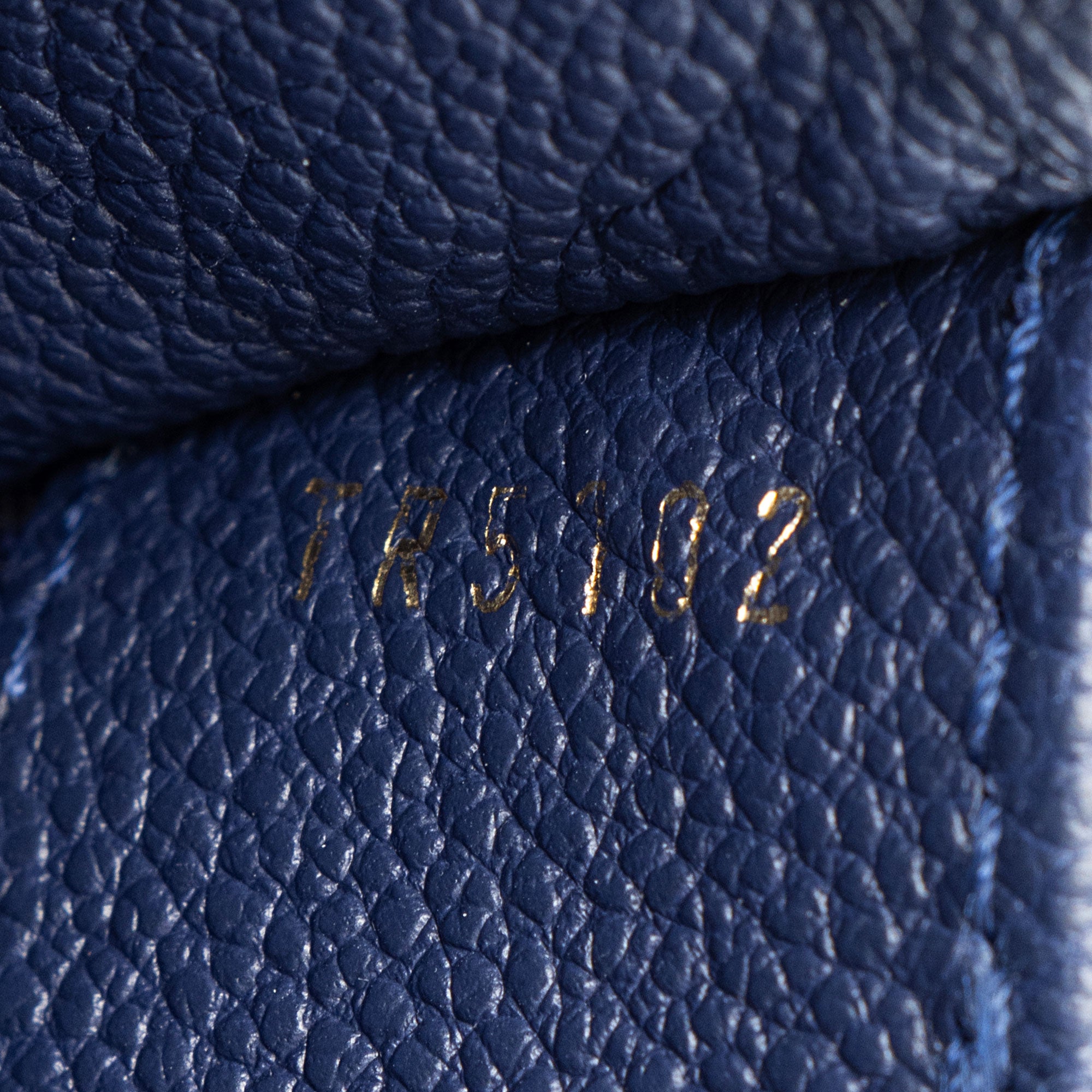 Louis Vuitton Monogram Empreinte Fascinante Shoulder Bag