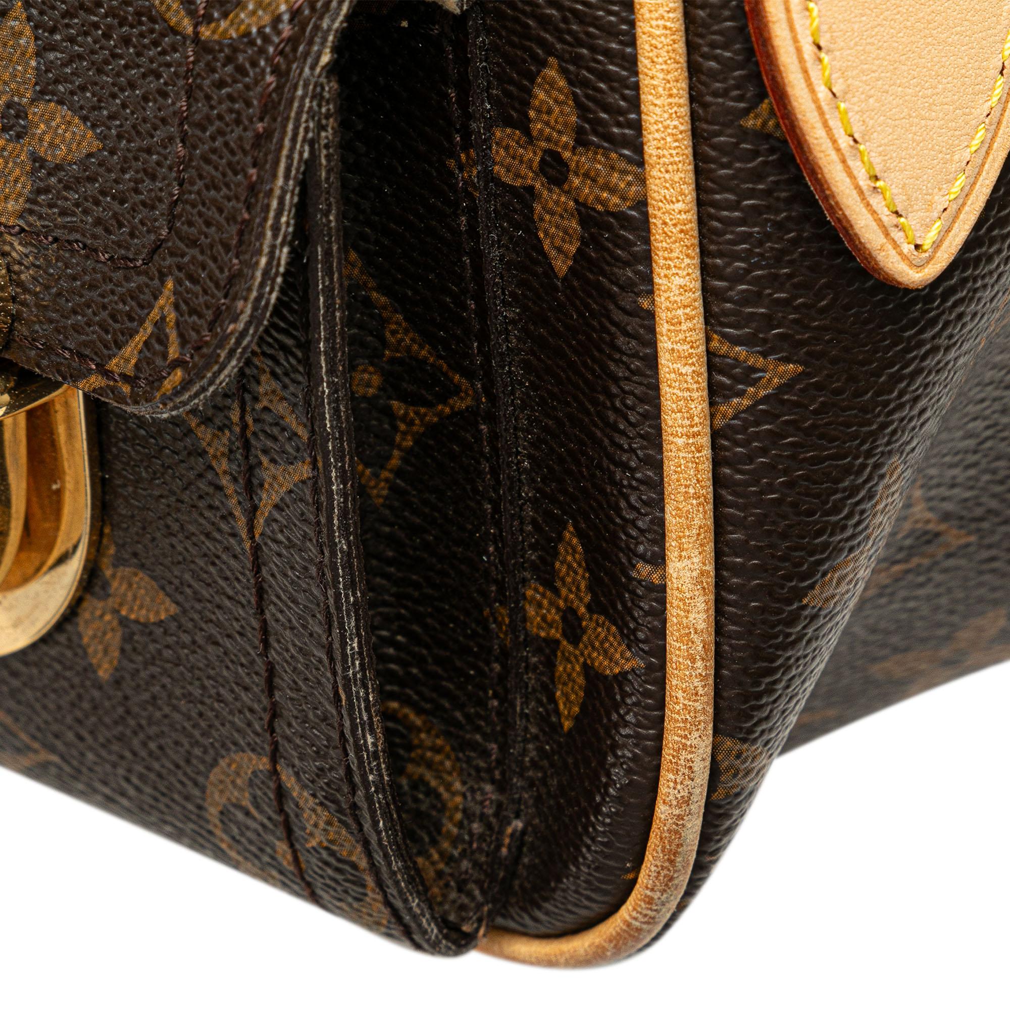 Louis Vuitton Monogram Hudson PM (SHG-MINRGa)