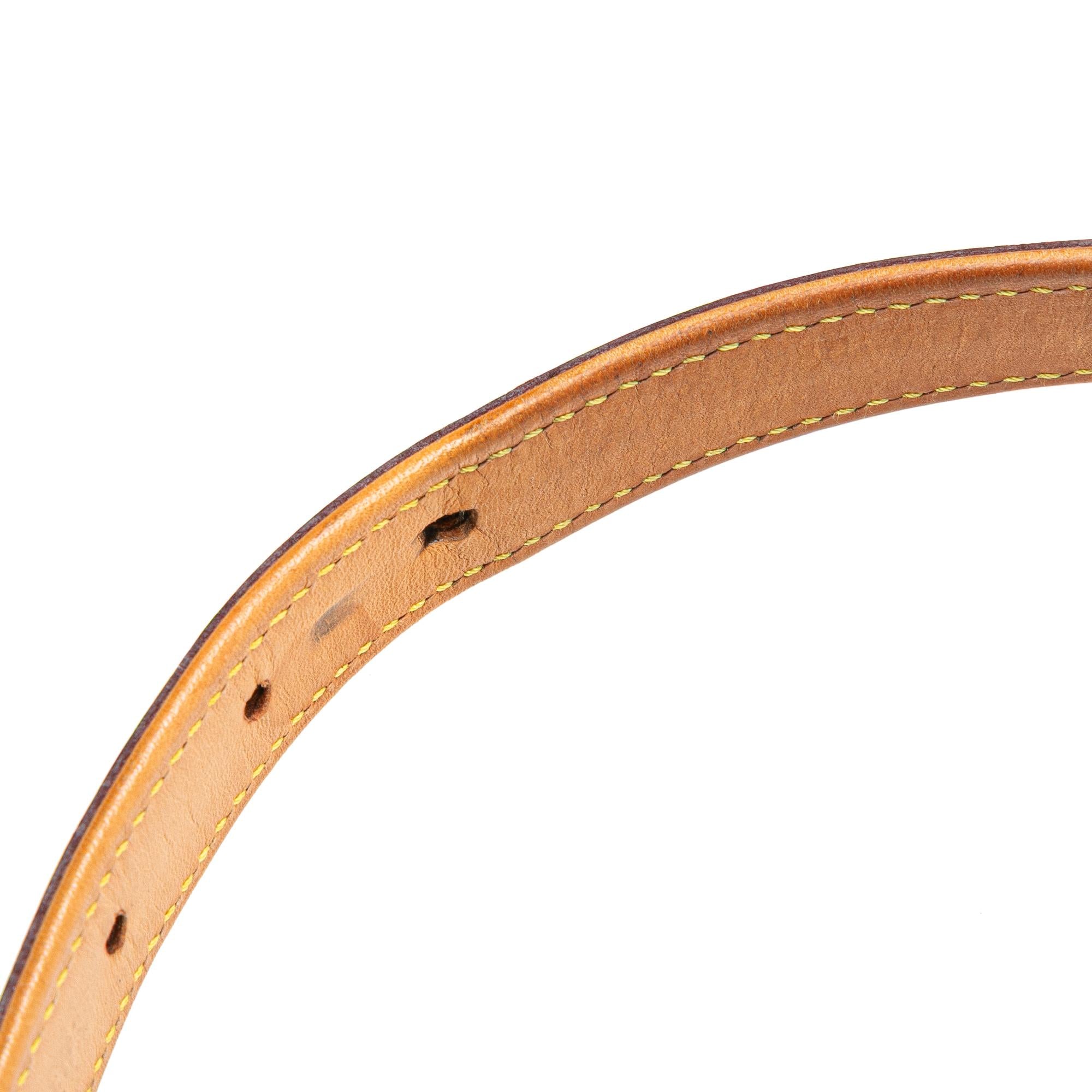 Louis Vuitton Monogram Mat Alston