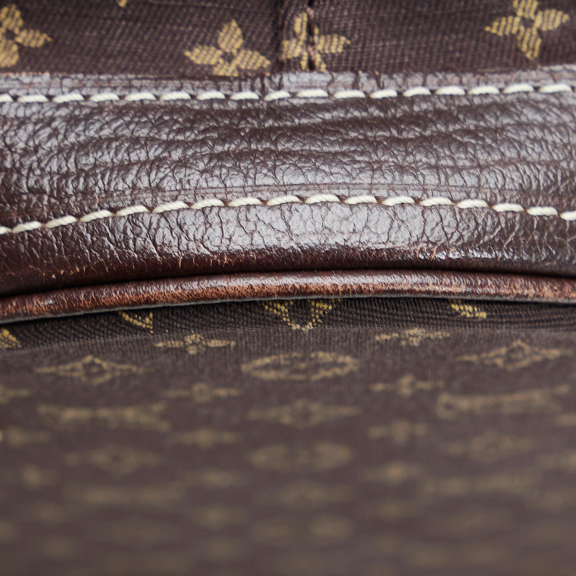 Louis Vuitton Monogram Mini Lin Bucket PM (SHG-KJWAcV)