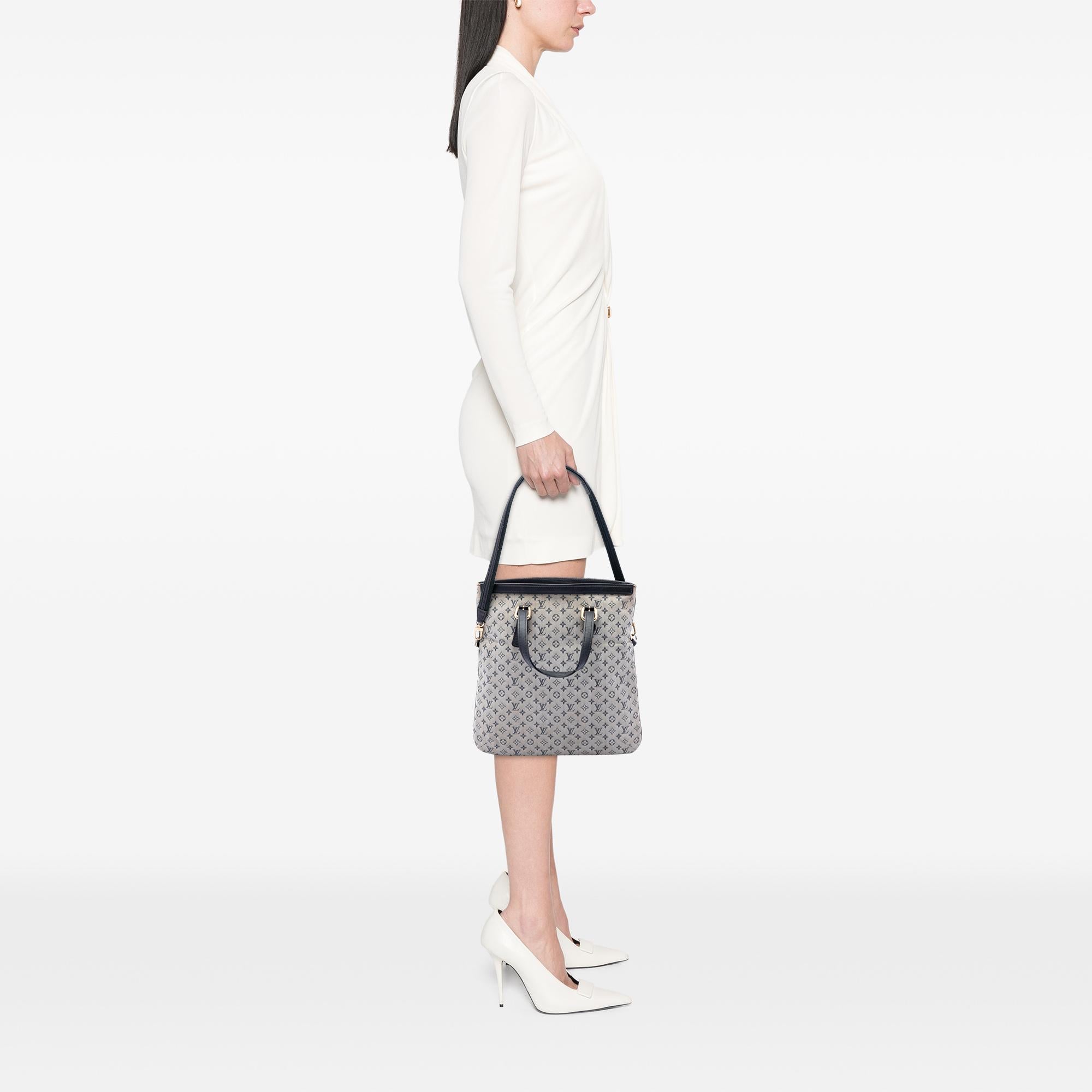 Louis Vuitton Monogram Mini Lin Francoise