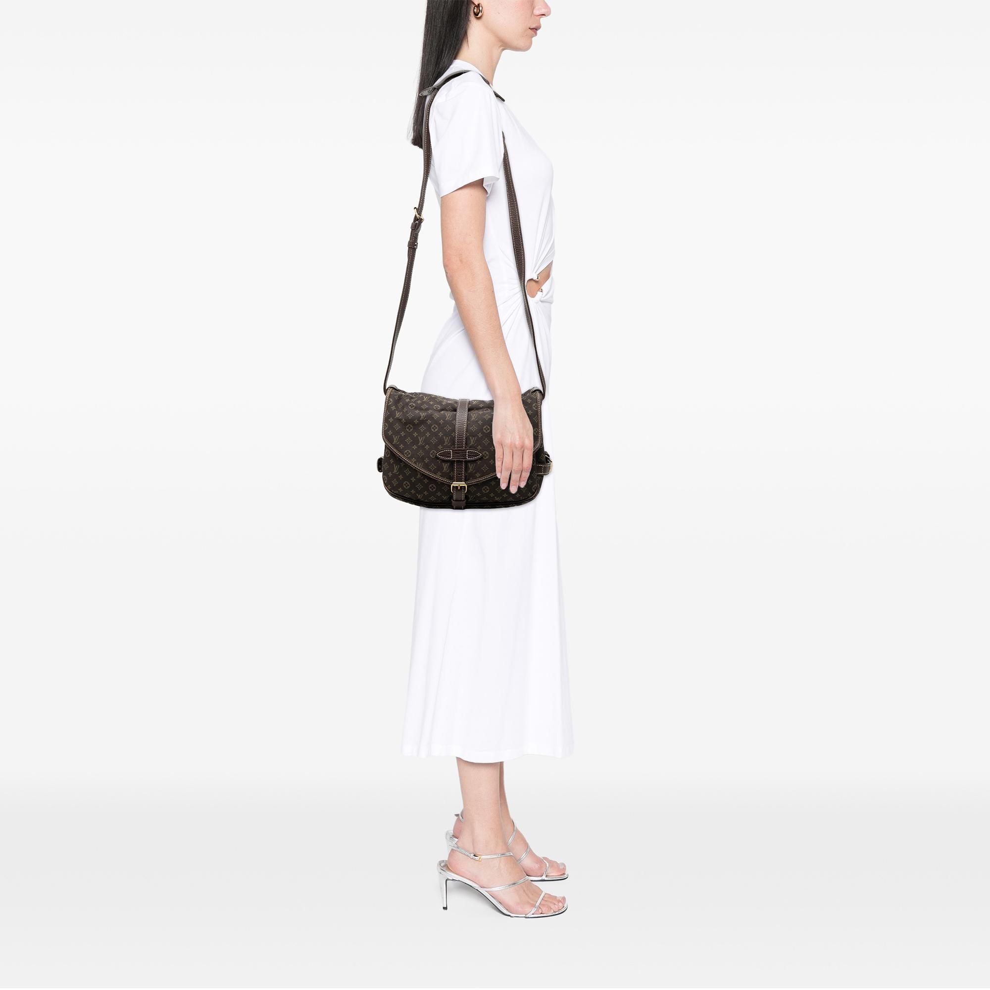 Louis Vuitton Monogram Mini Lin Saumur 30