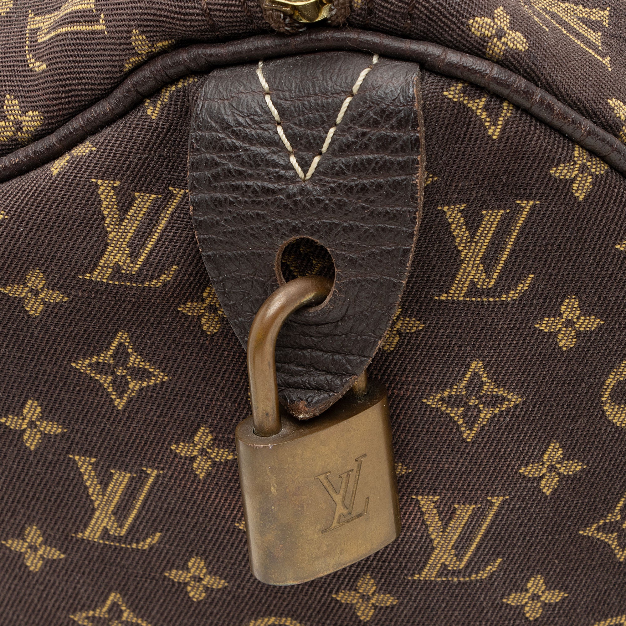 Louis Vuitton Monogram Mini Lin Speedy 30 Satchel