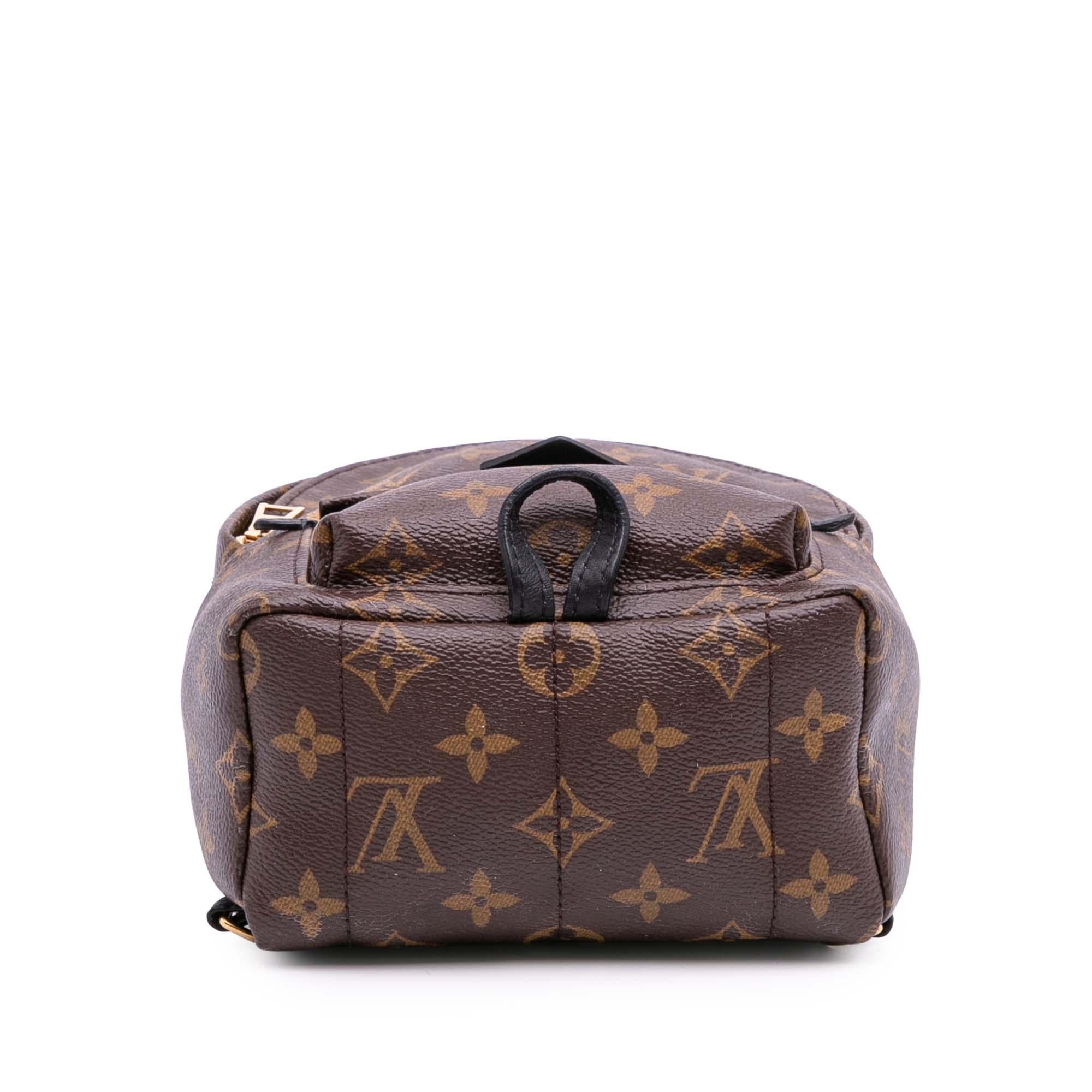 Louis Vuitton Monogram Mini Palm Springs