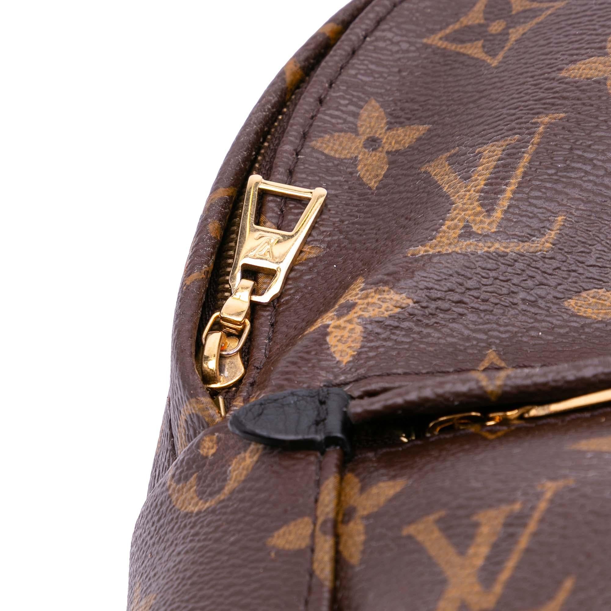 Louis Vuitton Monogram Mini Palm Springs