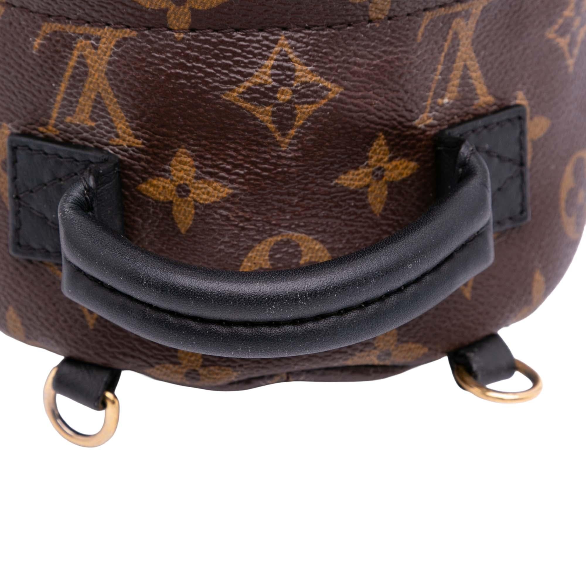 Louis Vuitton Monogram Mini Palm Springs