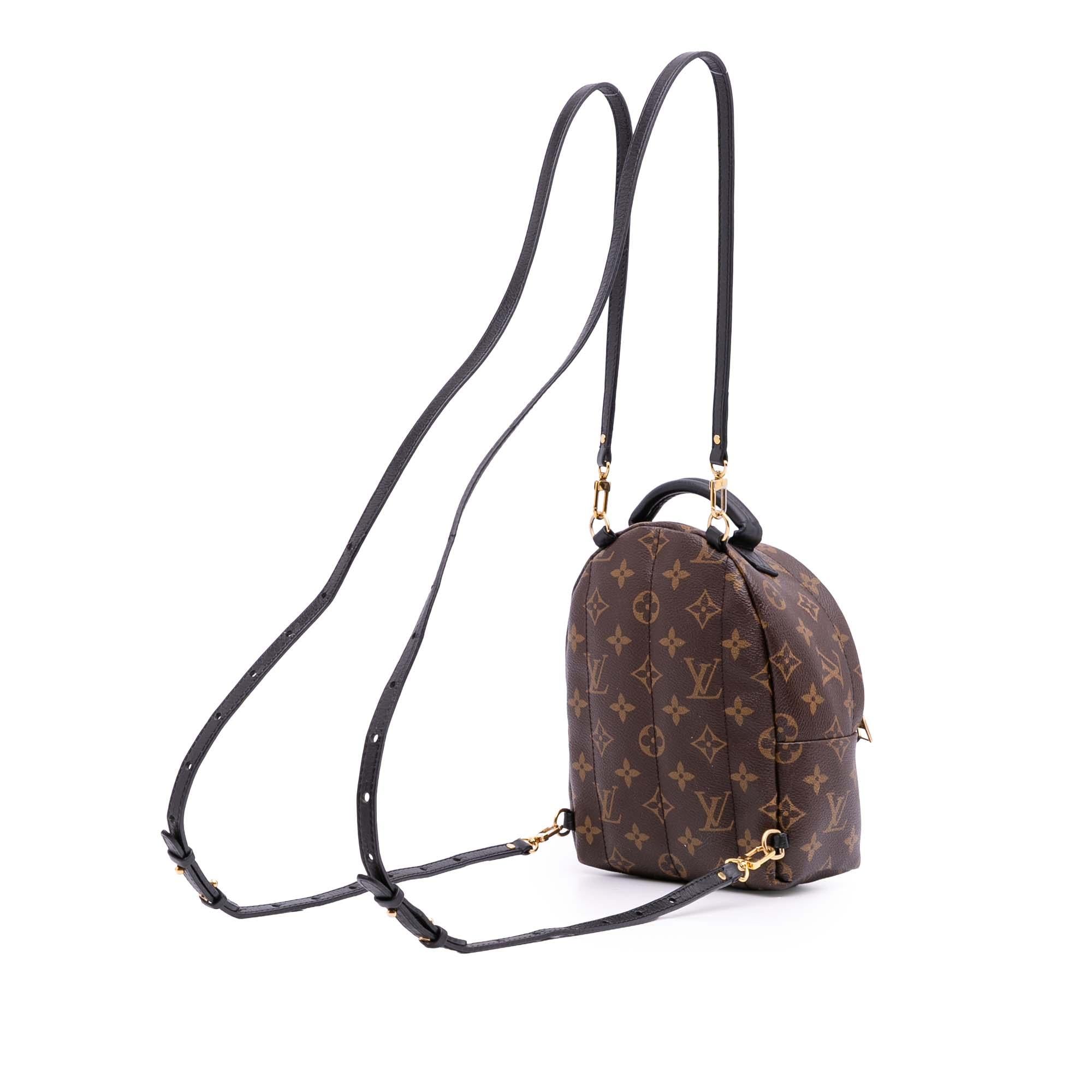 Louis Vuitton Monogram Mini Palm Springs