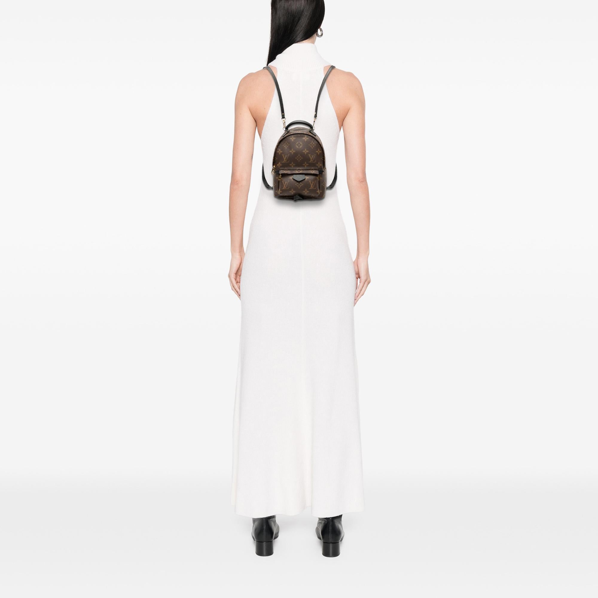 Louis Vuitton Monogram Mini Palm Springs
