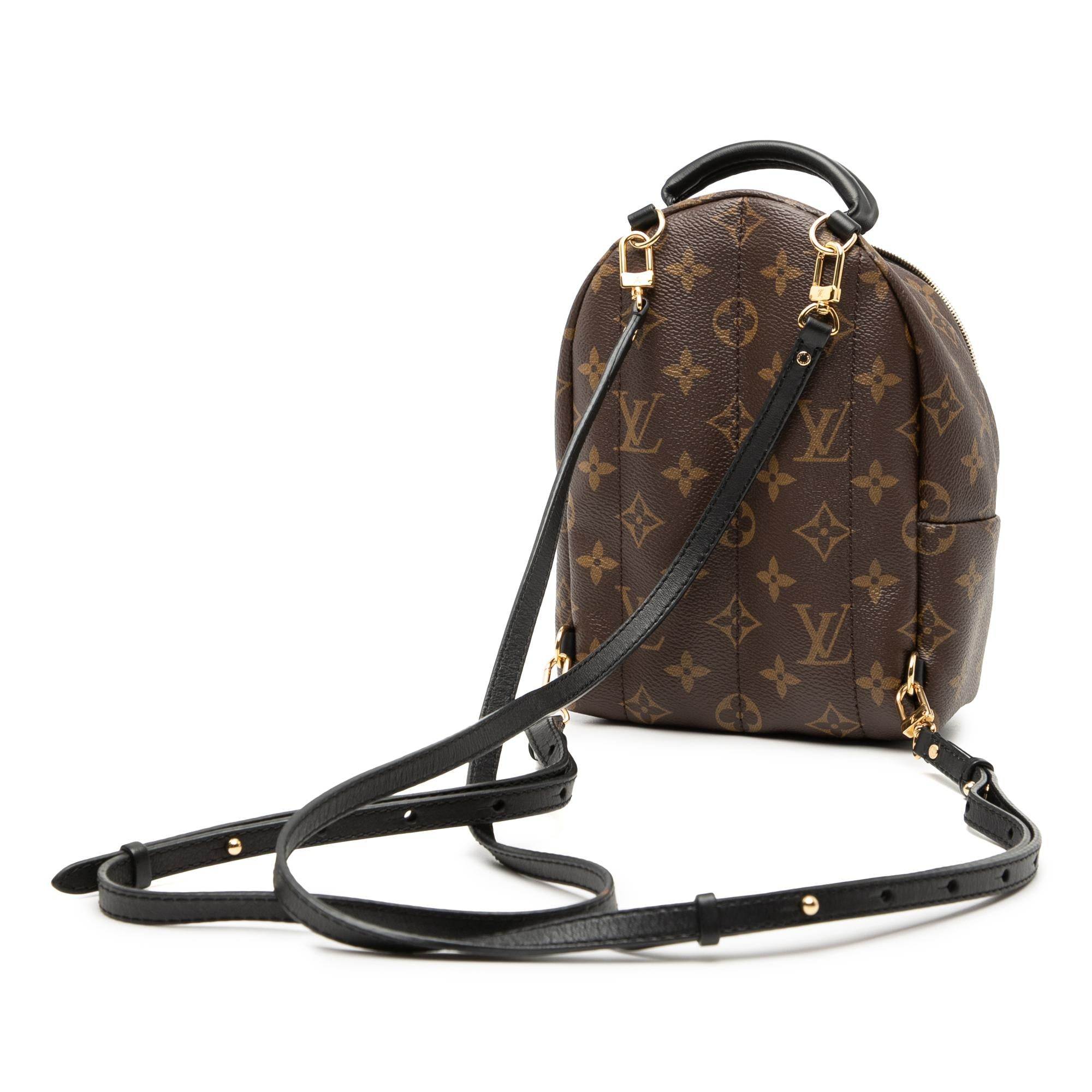 Louis Vuitton Monogram Mini Palm Springs