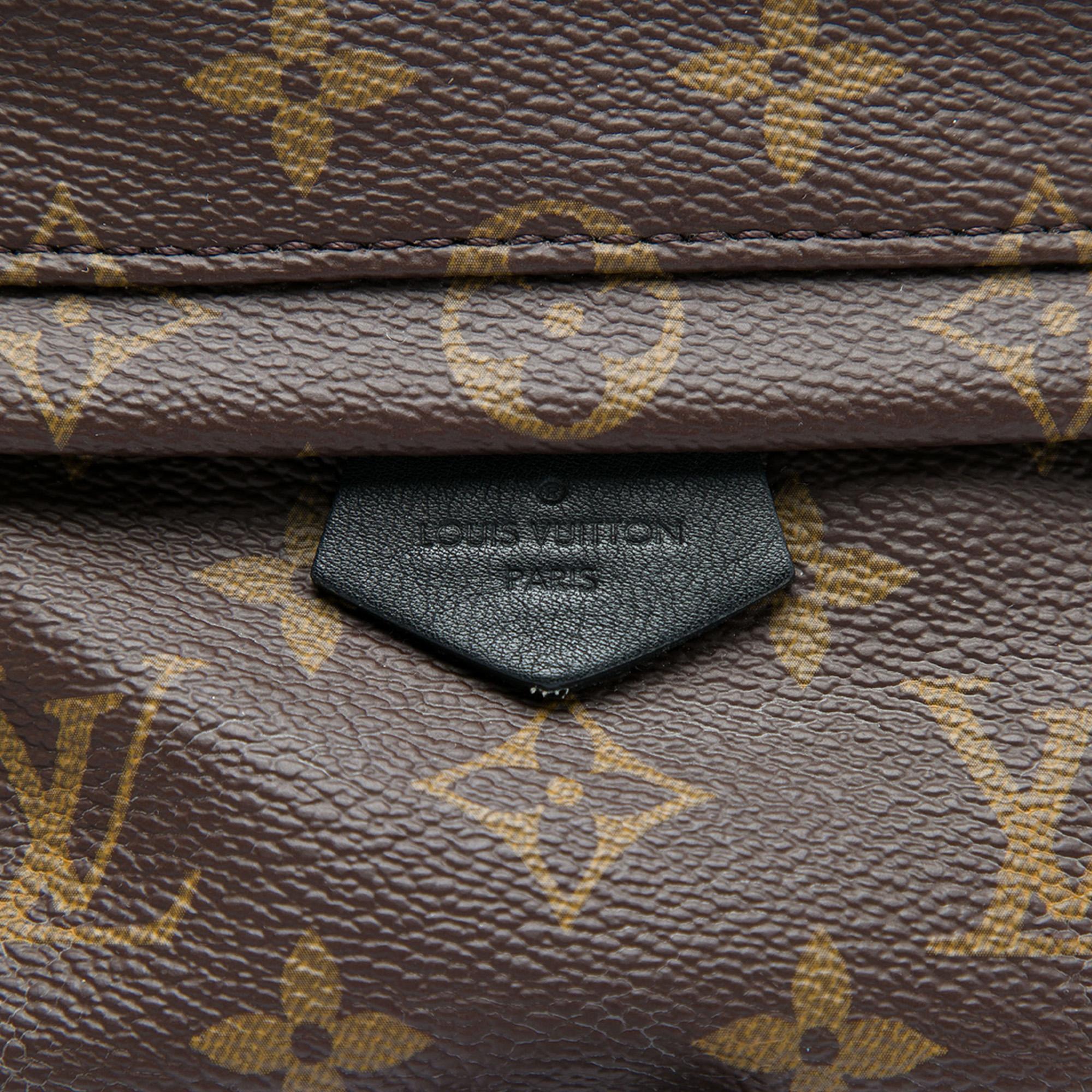 Louis Vuitton Monogram Mini Palm Springs