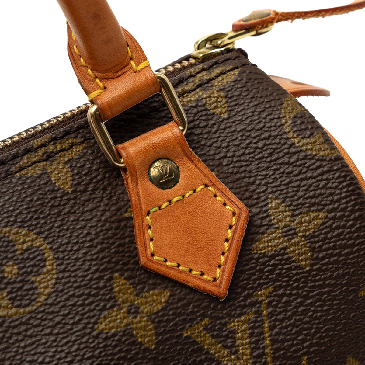 Louis Vuitton Monogram Mini Speedy HL