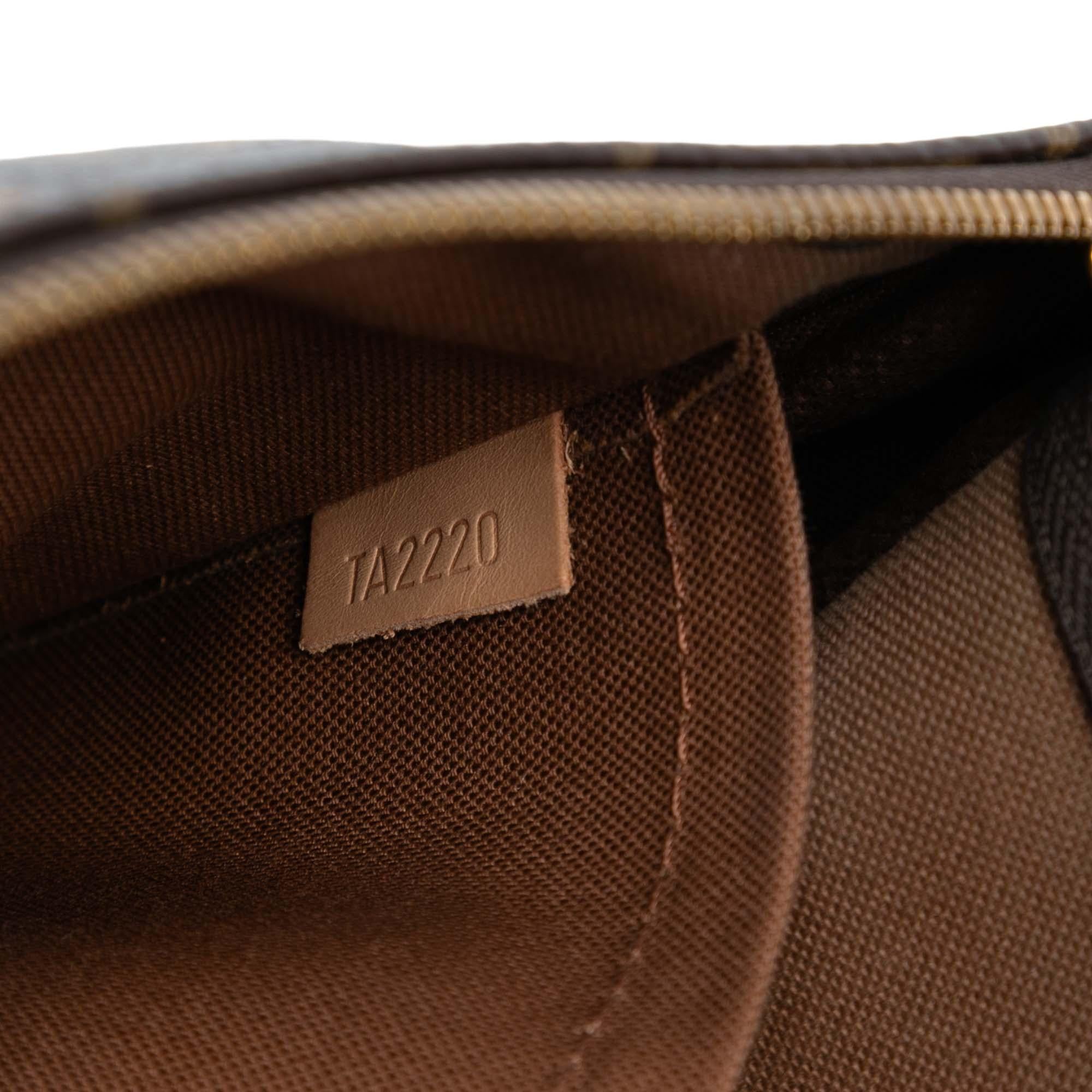 Louis Vuitton Monogram Multi Pochette Accessoires
