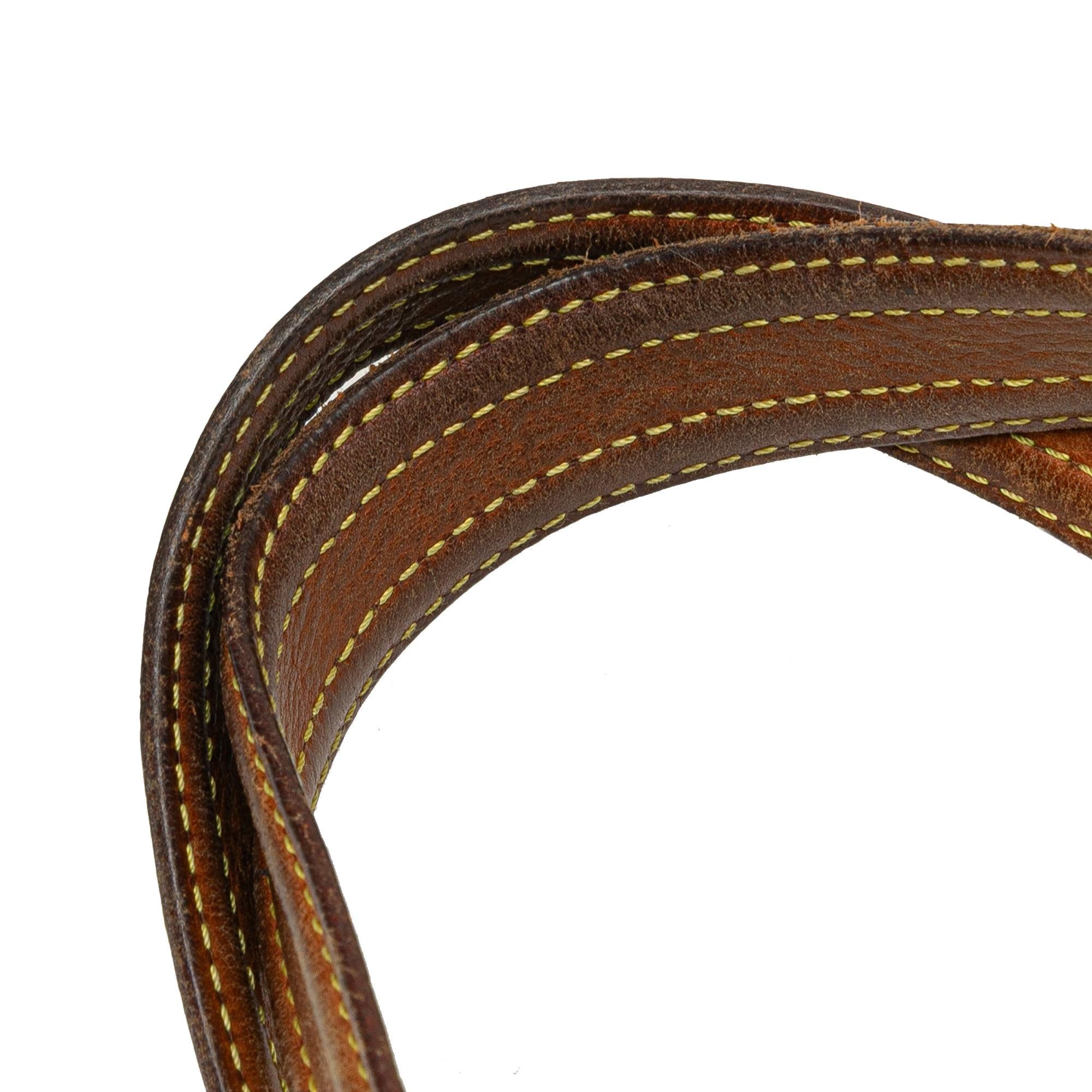Louis Vuitton Monogram Multipli Cite
