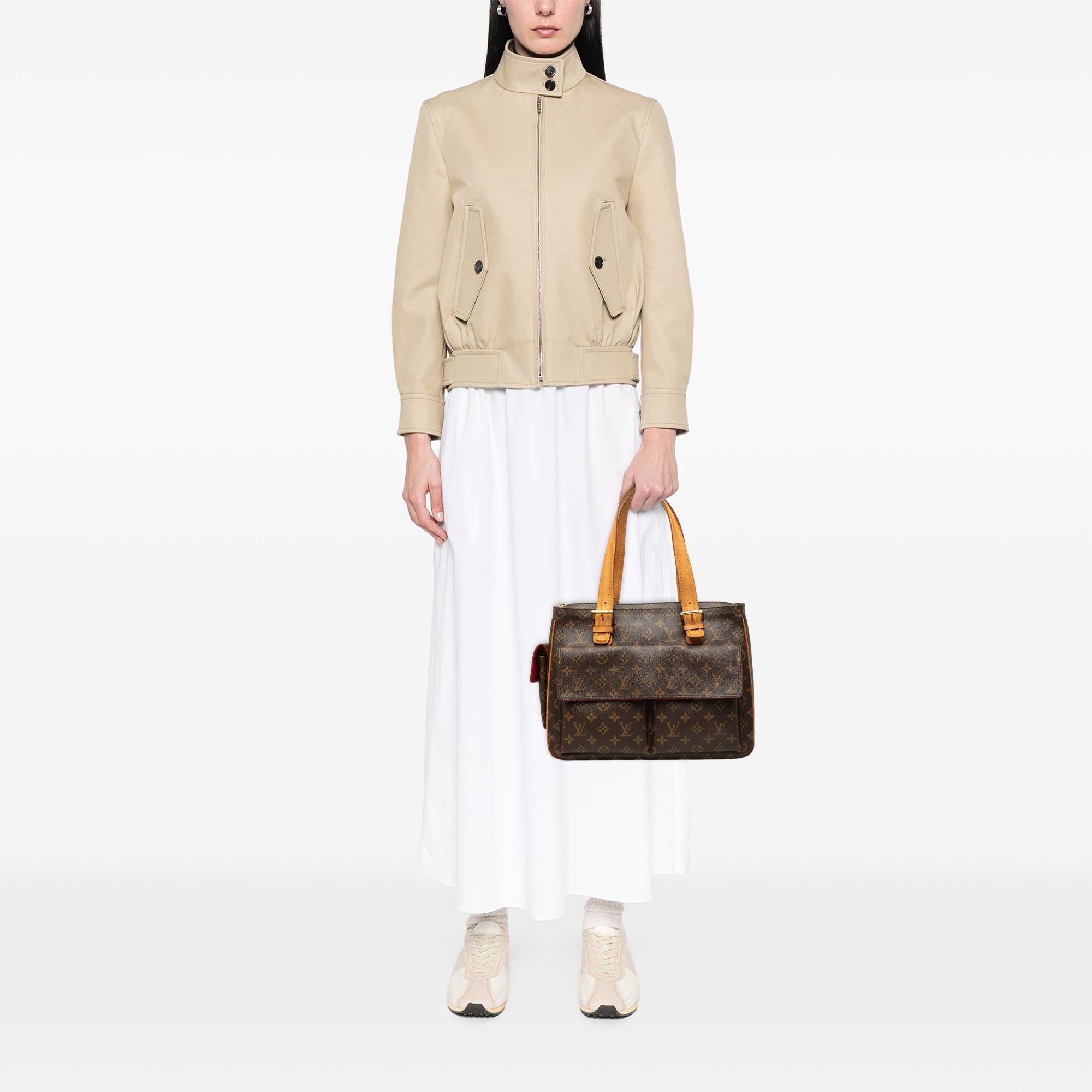 Louis Vuitton Monogram Multipli Cite