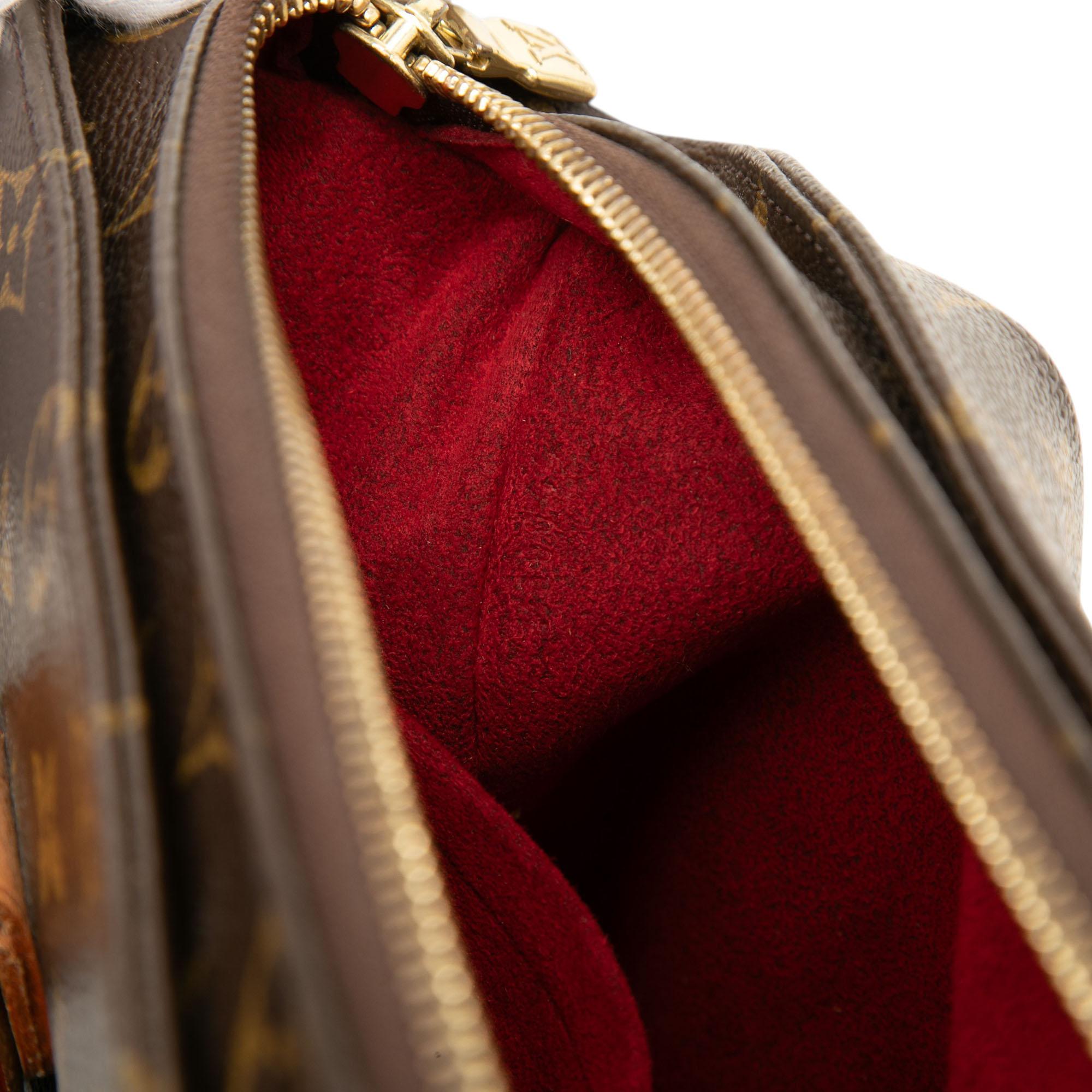 Louis Vuitton Monogram Multipli Cite