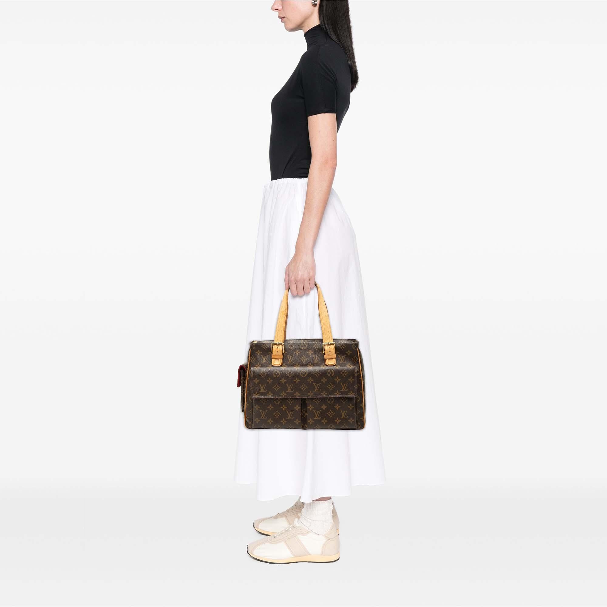 Louis Vuitton Monogram Multipli Cite