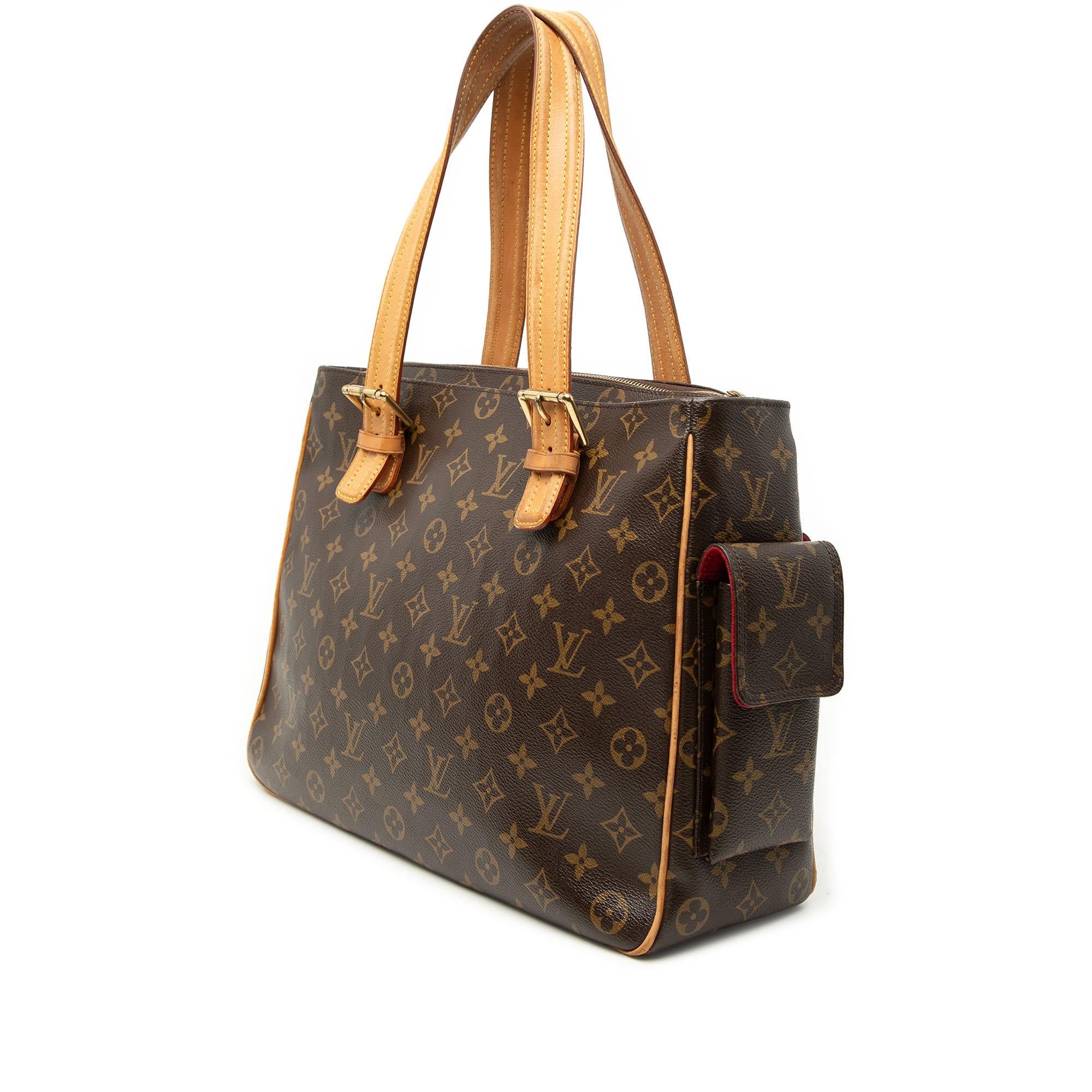 Louis Vuitton Monogram Multipli Cite