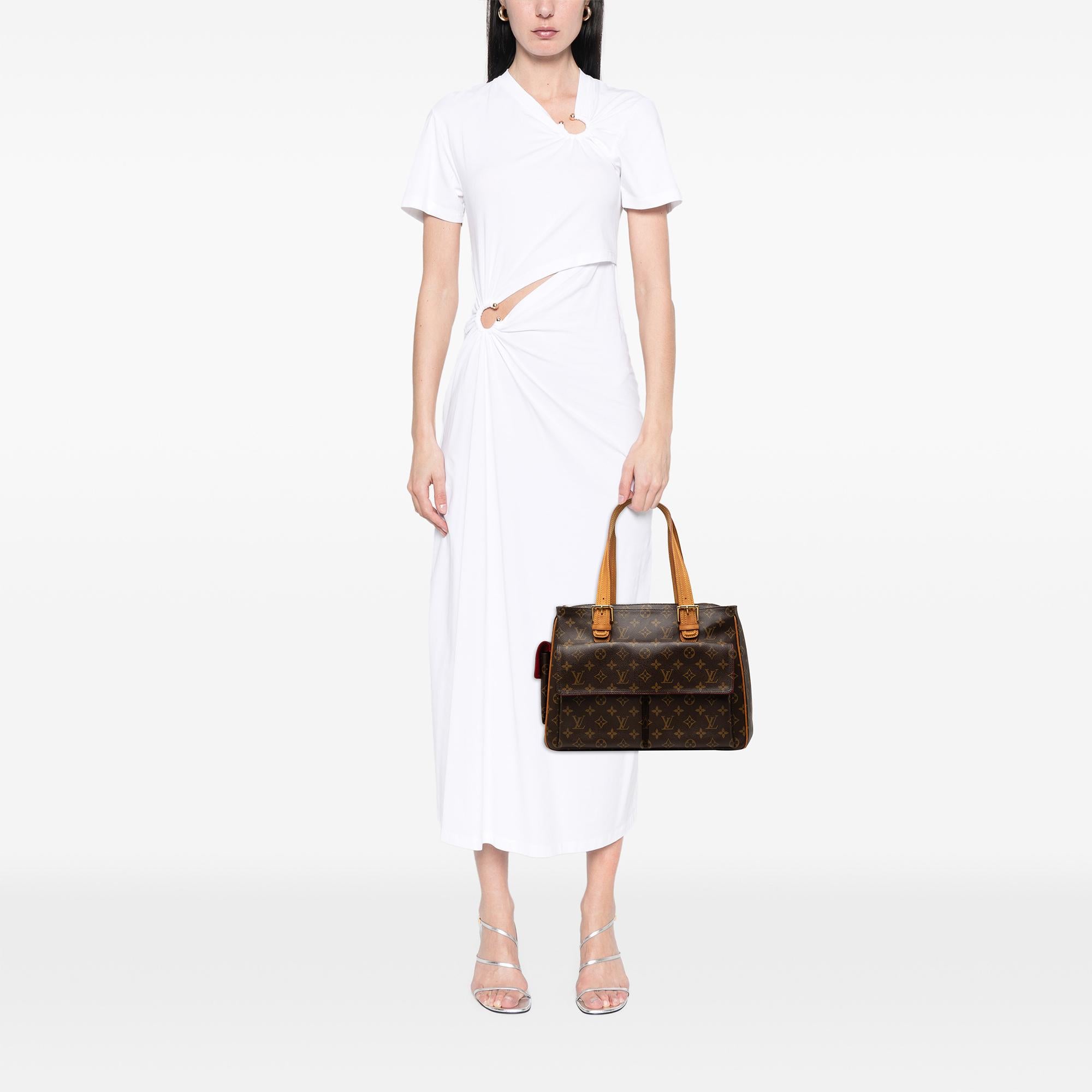 Louis Vuitton Monogram Multipli Cite
