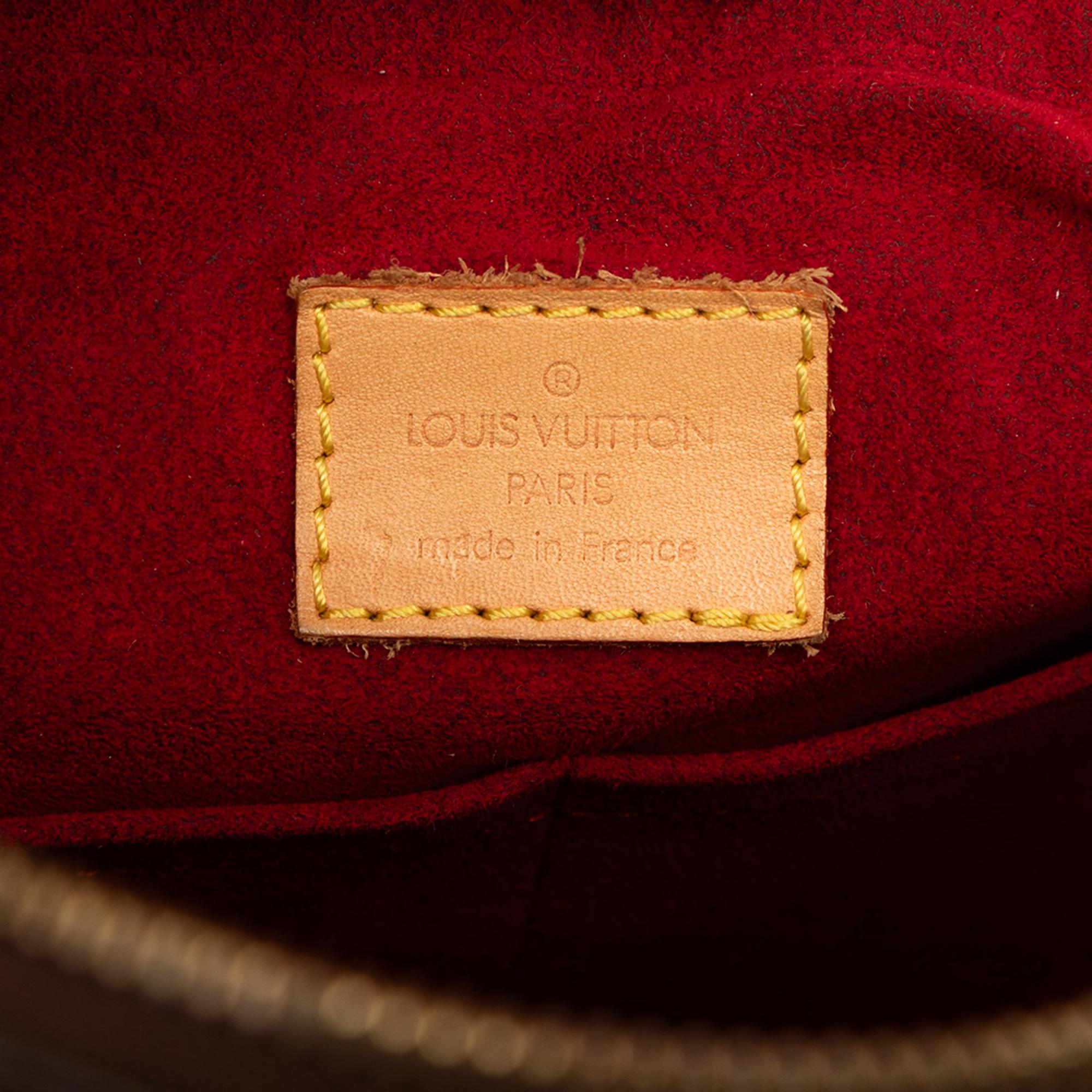 Louis Vuitton Monogram Multipli Cite