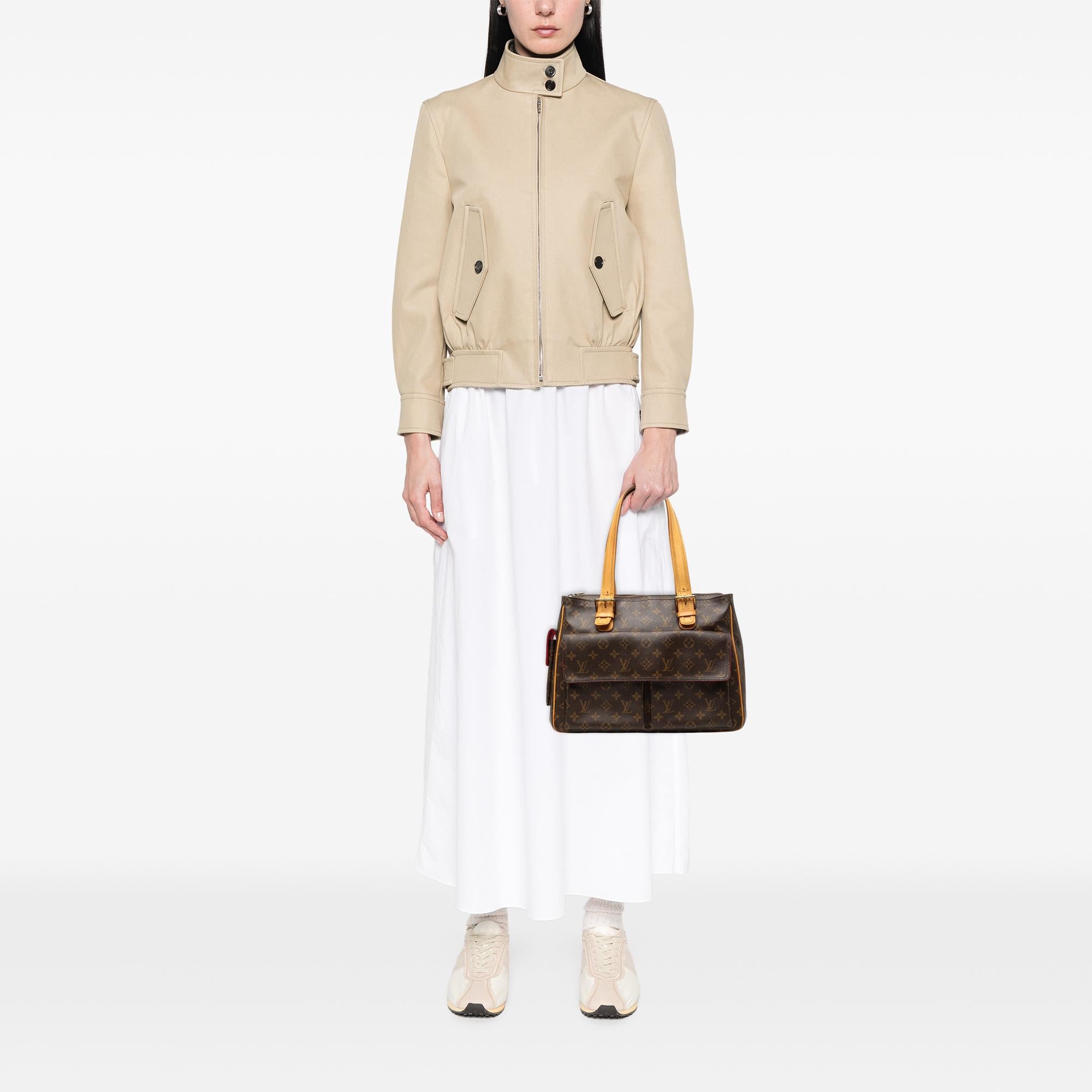 Louis Vuitton Monogram Multipli Cite
